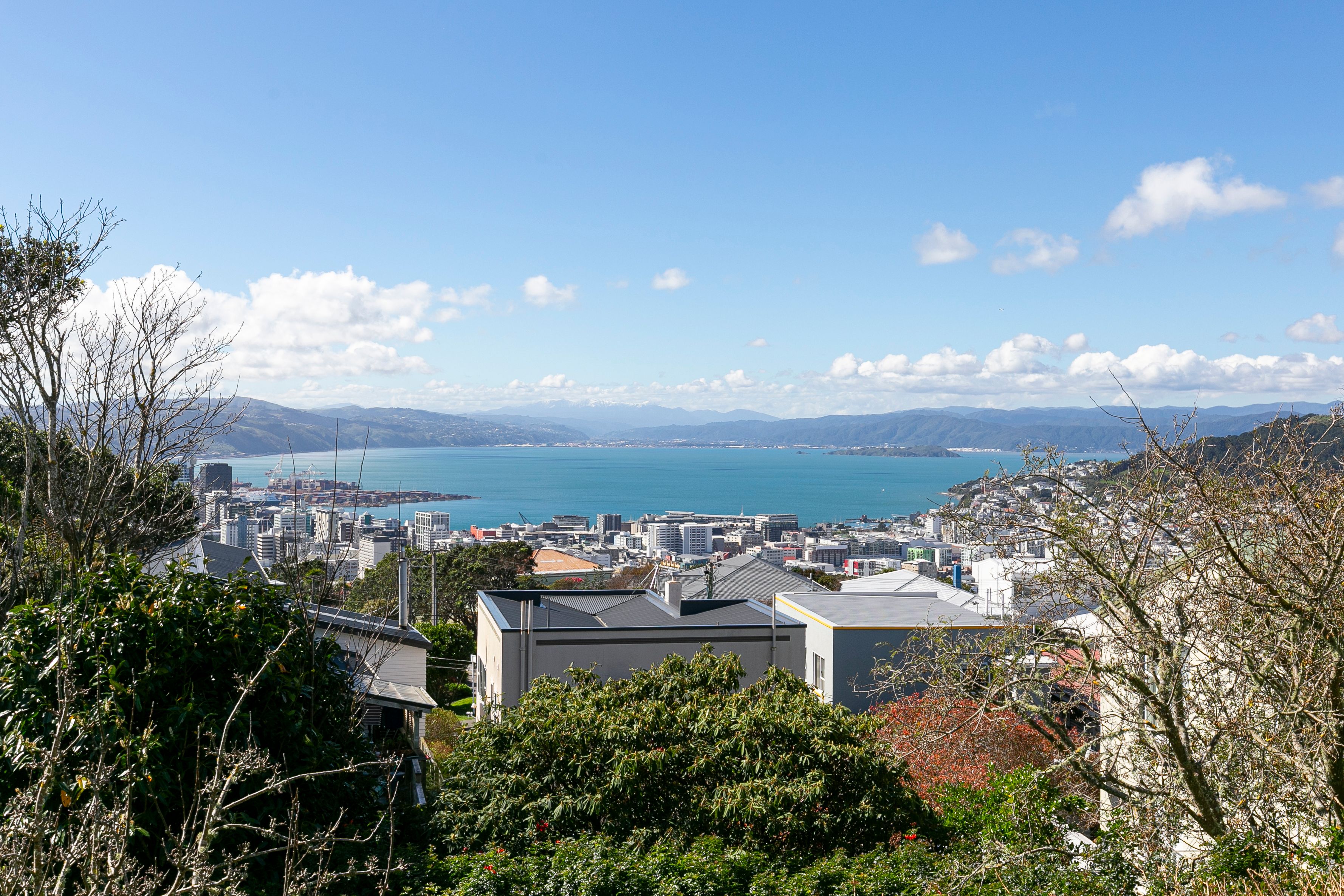 12 Apuka Street, Brooklyn, Wellington City