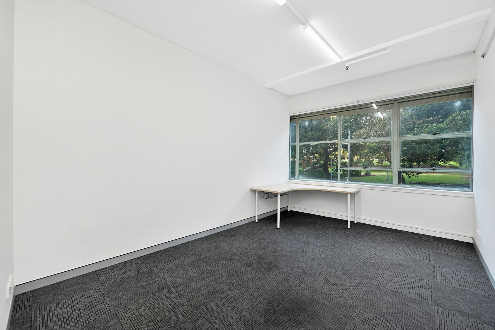 1/251 Elizabeth Street, Sydney, NSW 2000