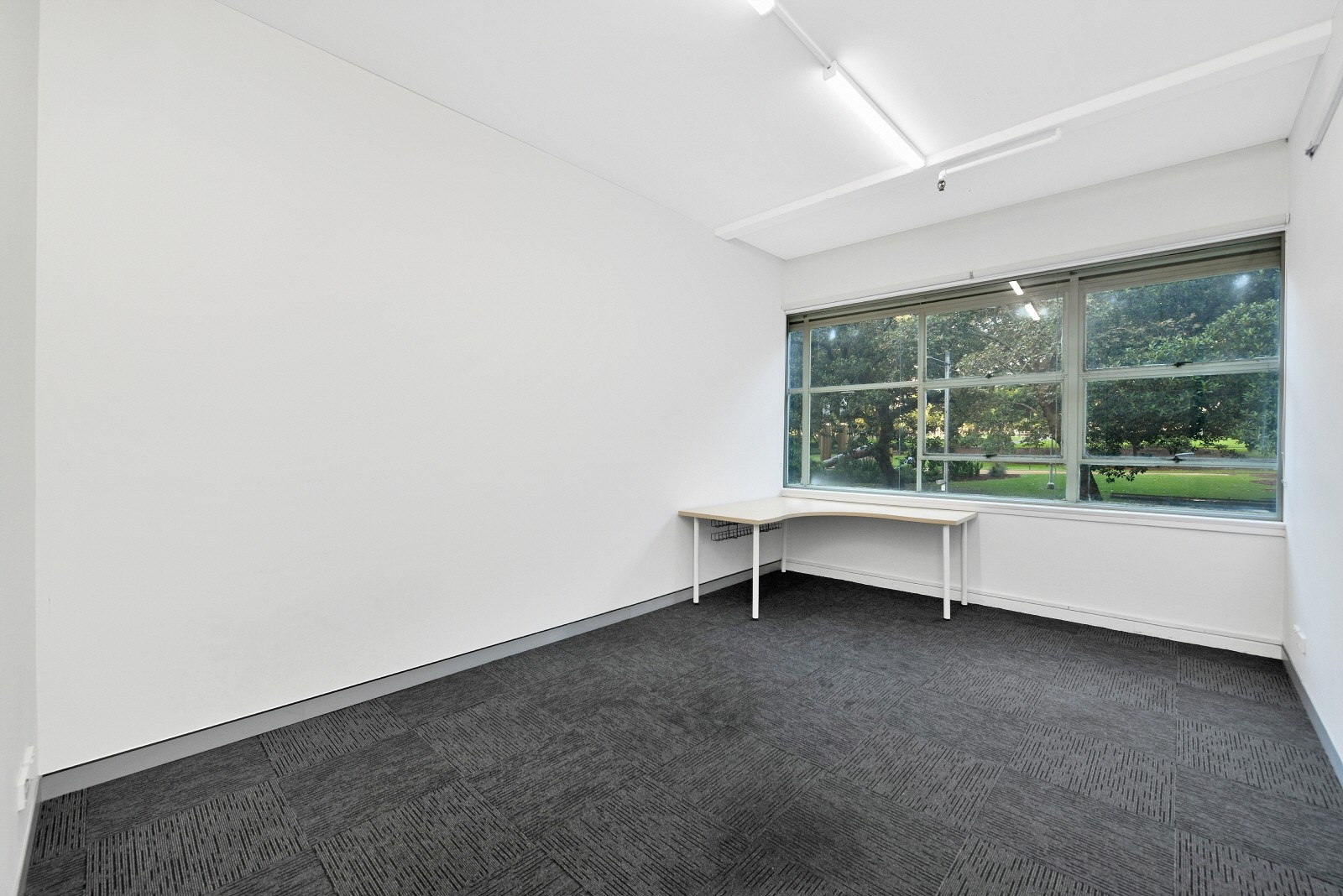 1/251 Elizabeth Street, Sydney, NSW 2000