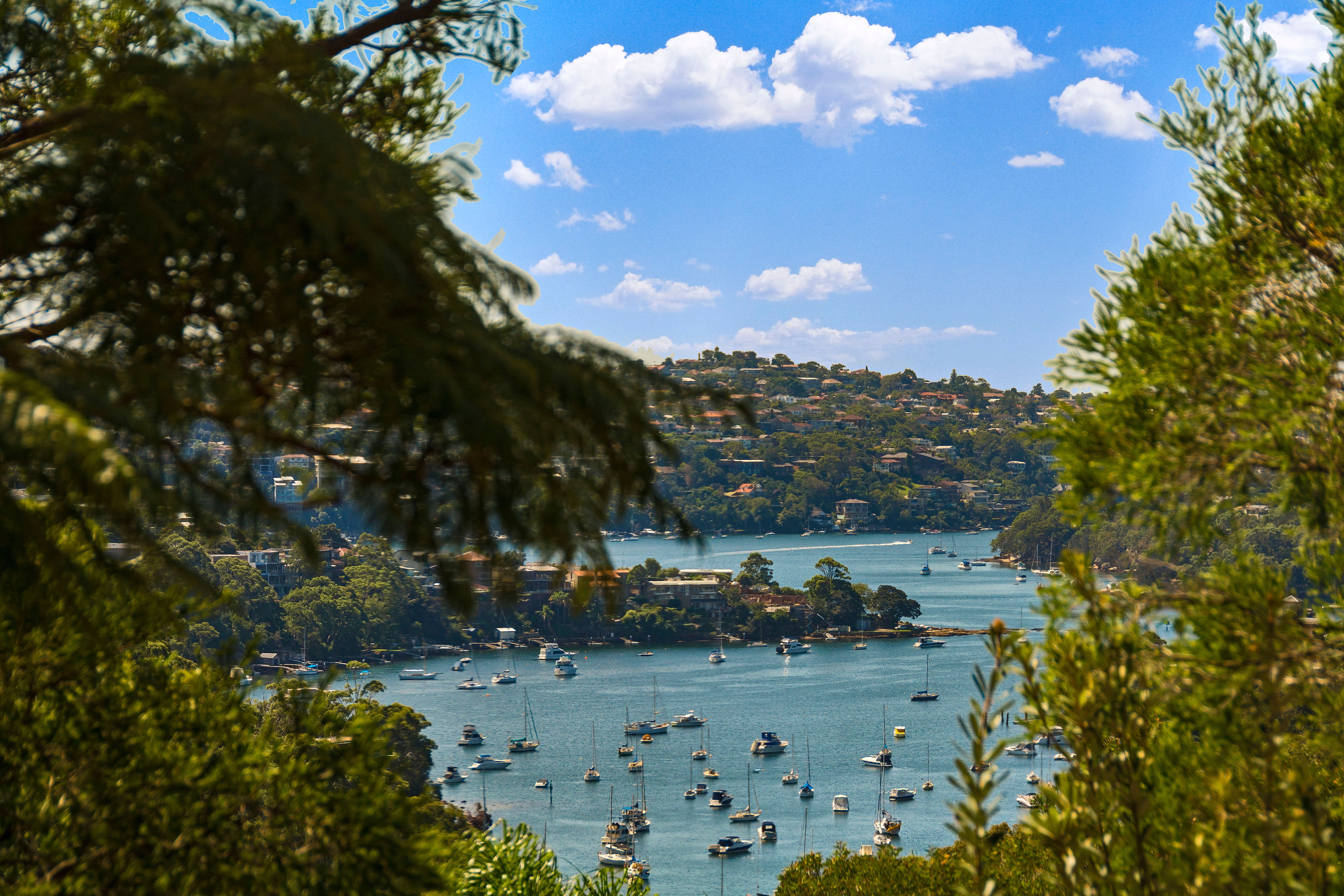 13/242 Ben Boyd Road, Cremorne, NSW 2090