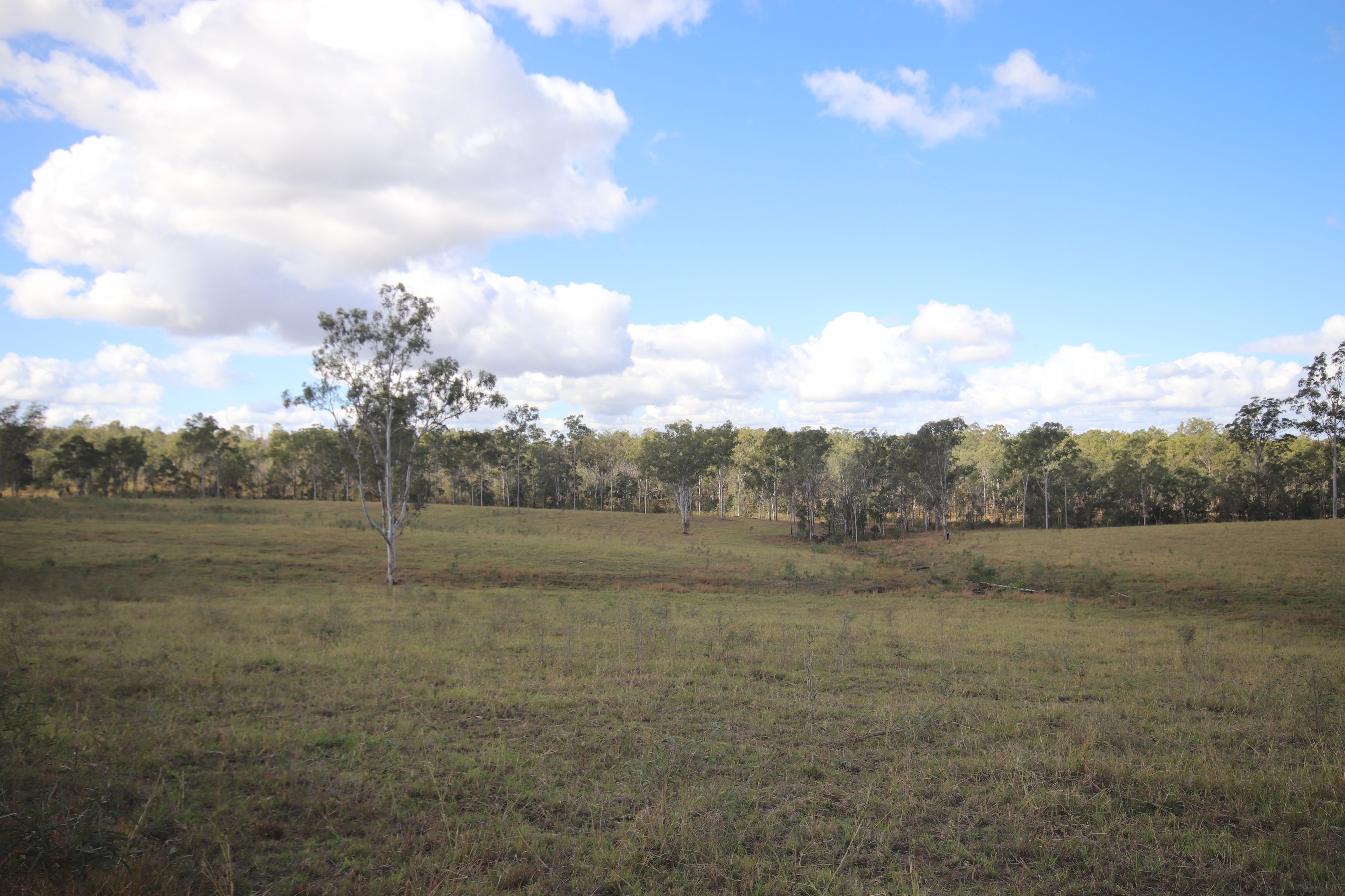 Lot 43 and Lot 50 Kalliwa Road, Mingo — photo 11 of 29
