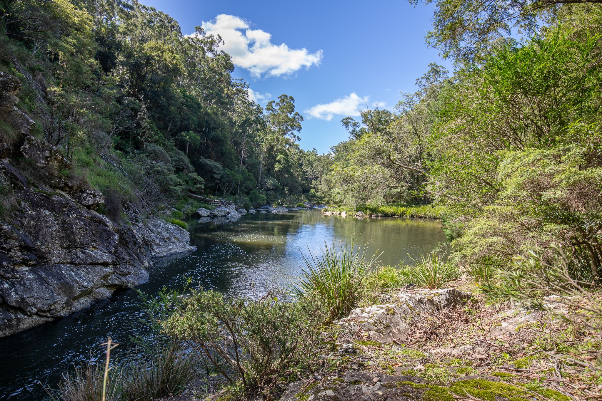 149 Johnsens Road, Dorrigo, NSW 2453
