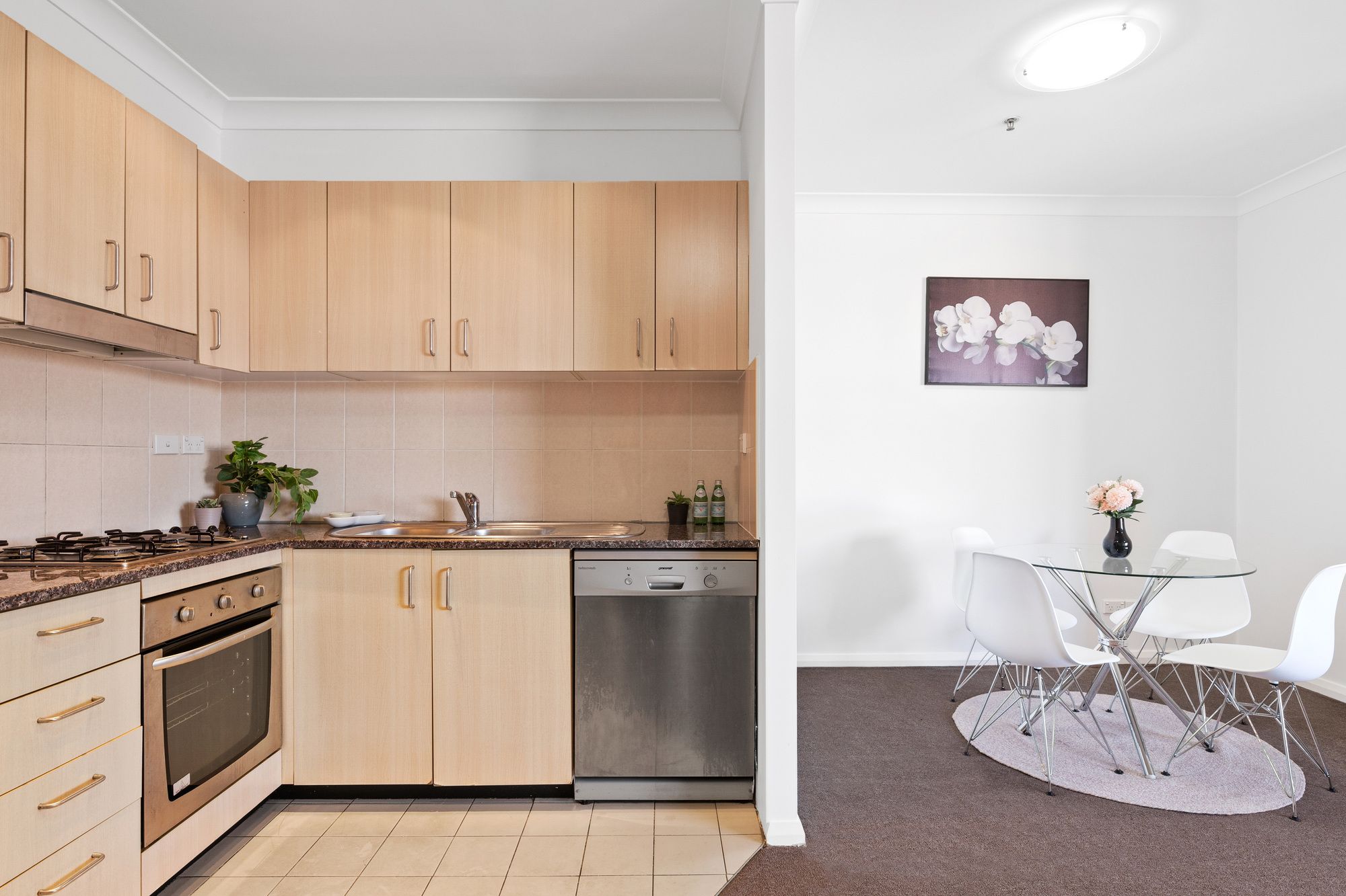 501/32 Regent Street, Chippendale, NSW 2008