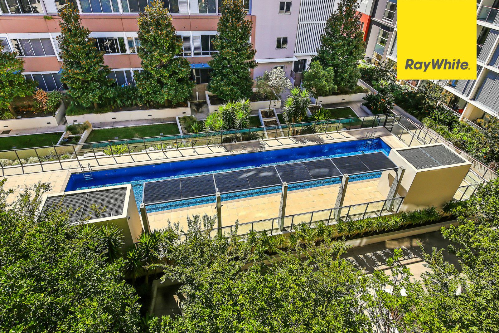 603a 1 Jack Brabham Drive, Hurstville, NSW 2220