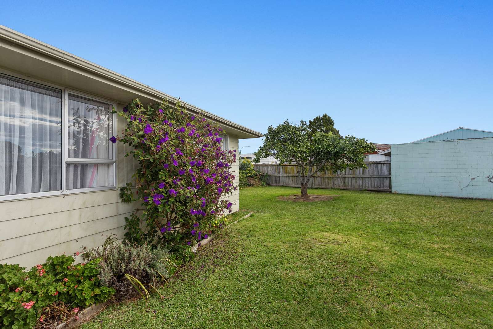50 Puriri Crescent photo 11