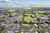 Lot 1-5/39 Alexander Avenue photo 32