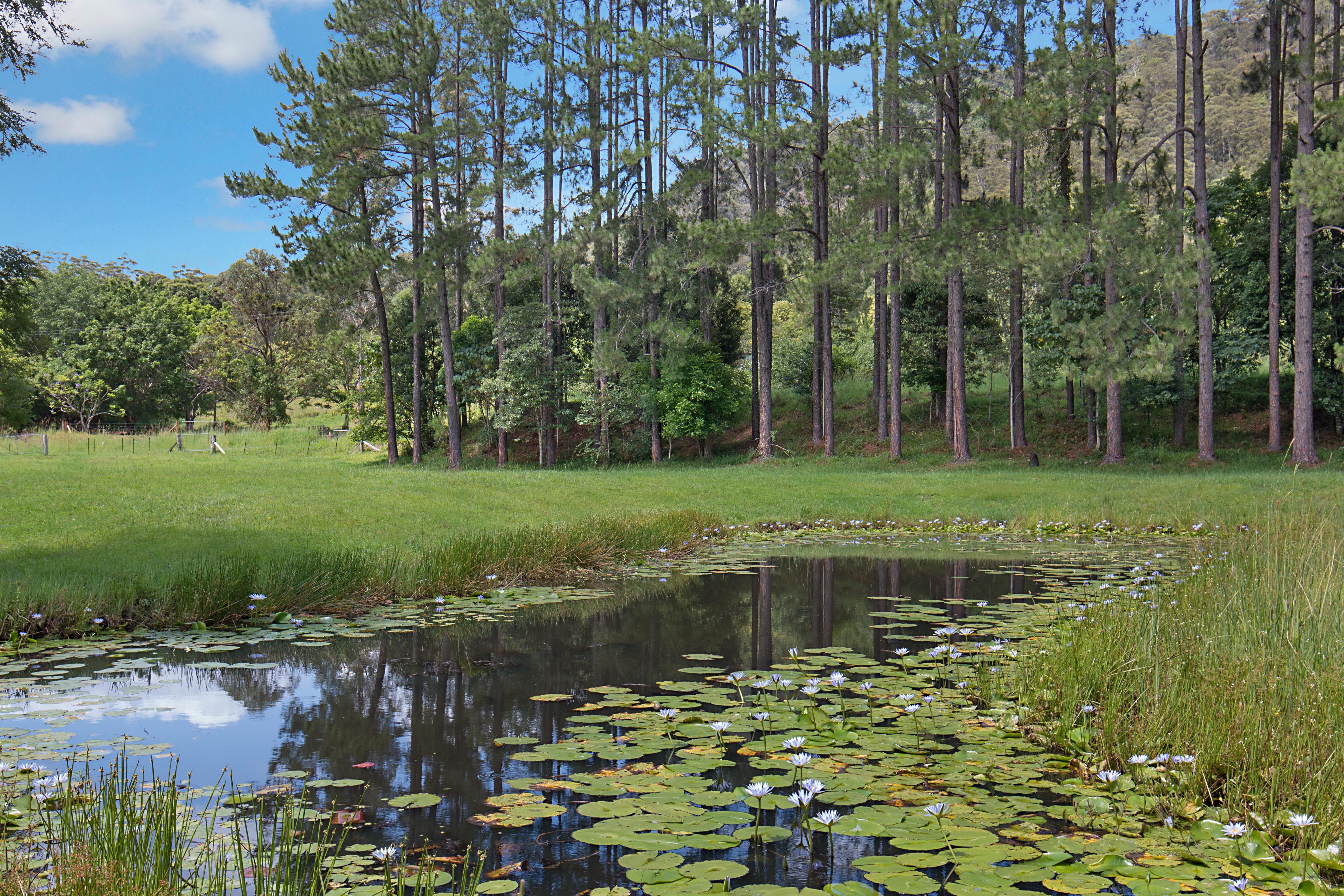 200 Chauviers Road, Upper Crystal Creek, NSW 2484