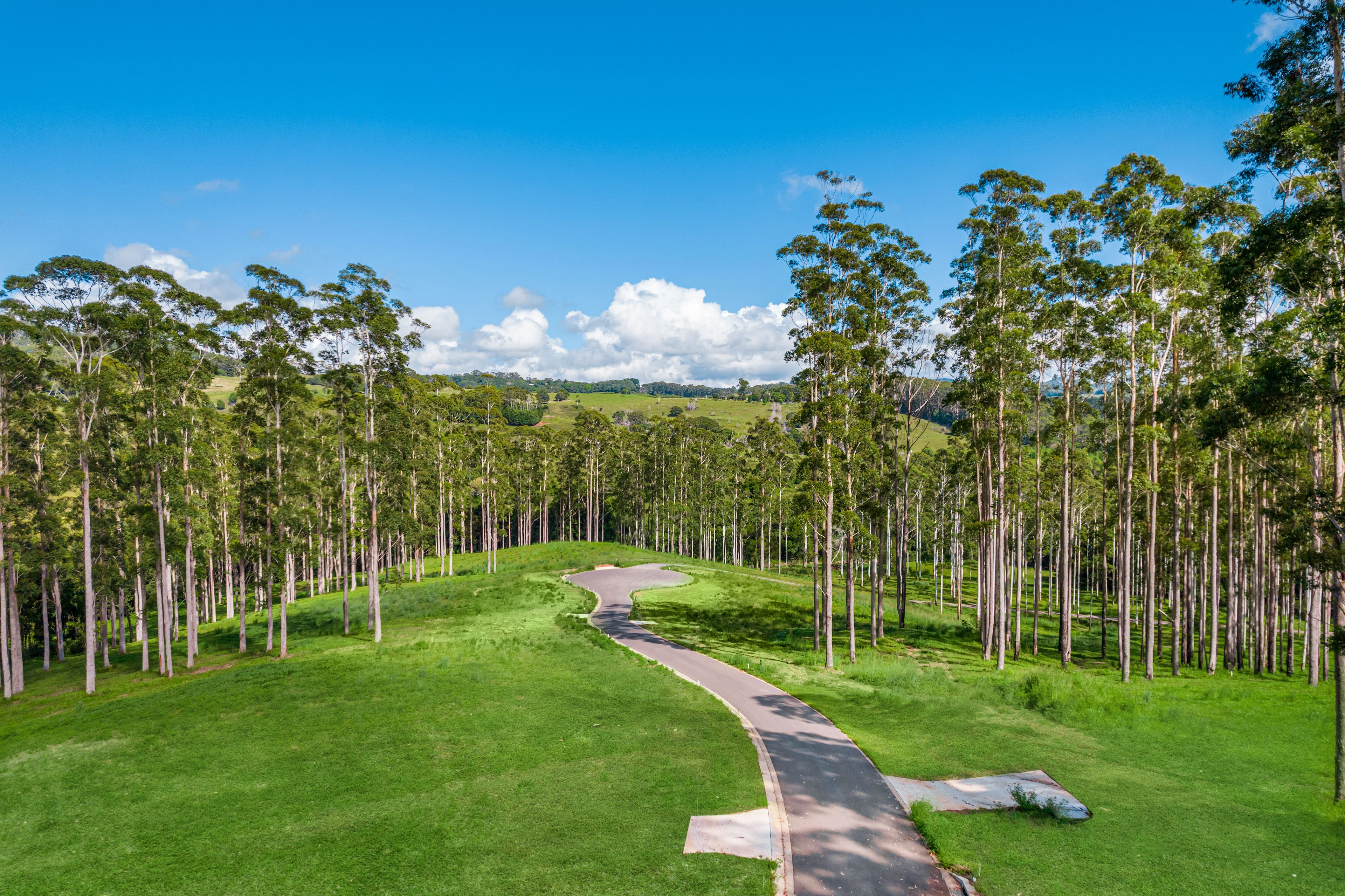 Coorabell, NSW 2479 Land for Sale Ray White Rural Bangalow