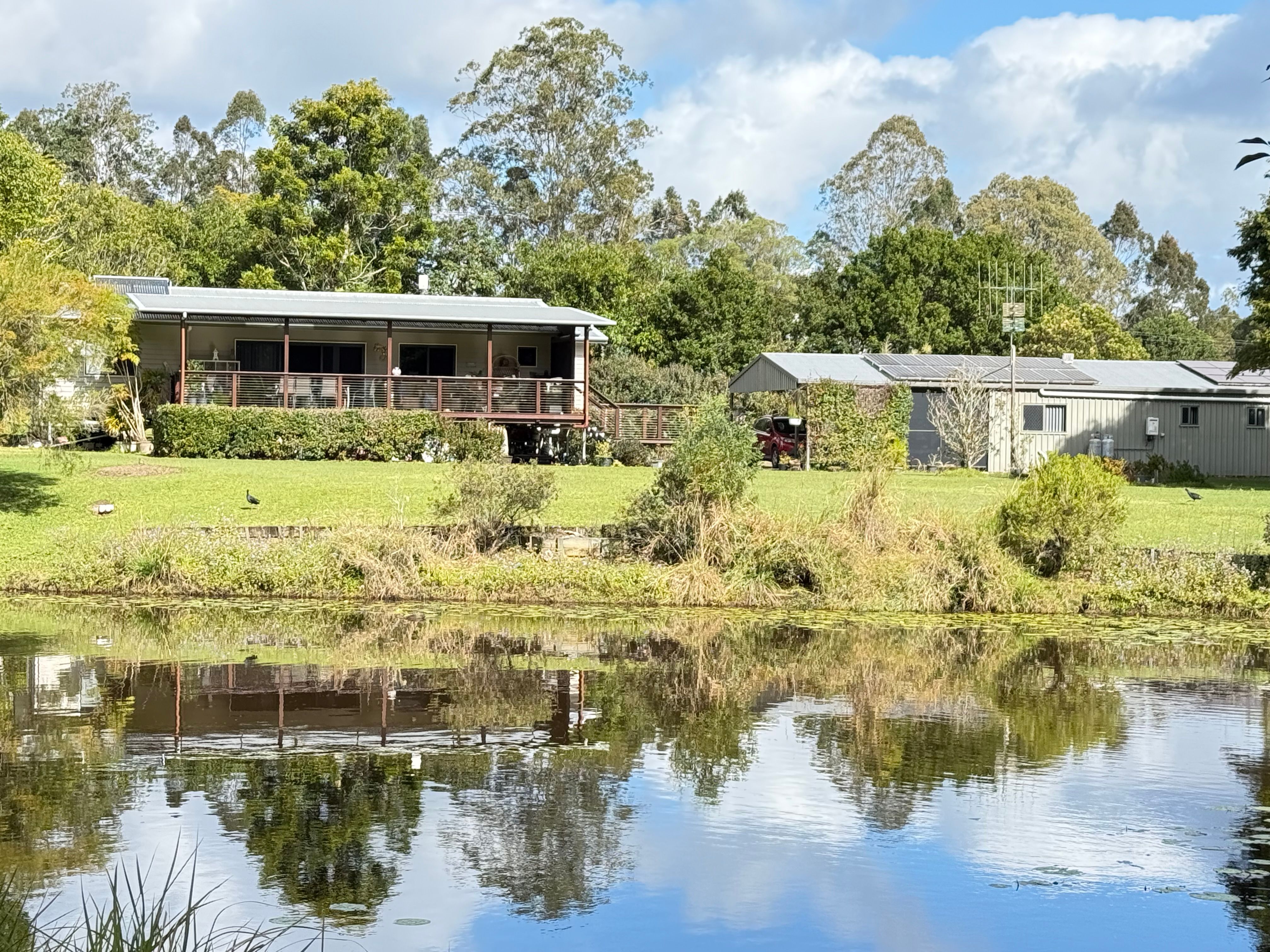 Your Cooran Hinterland Sanctuary — photo 5 of 6