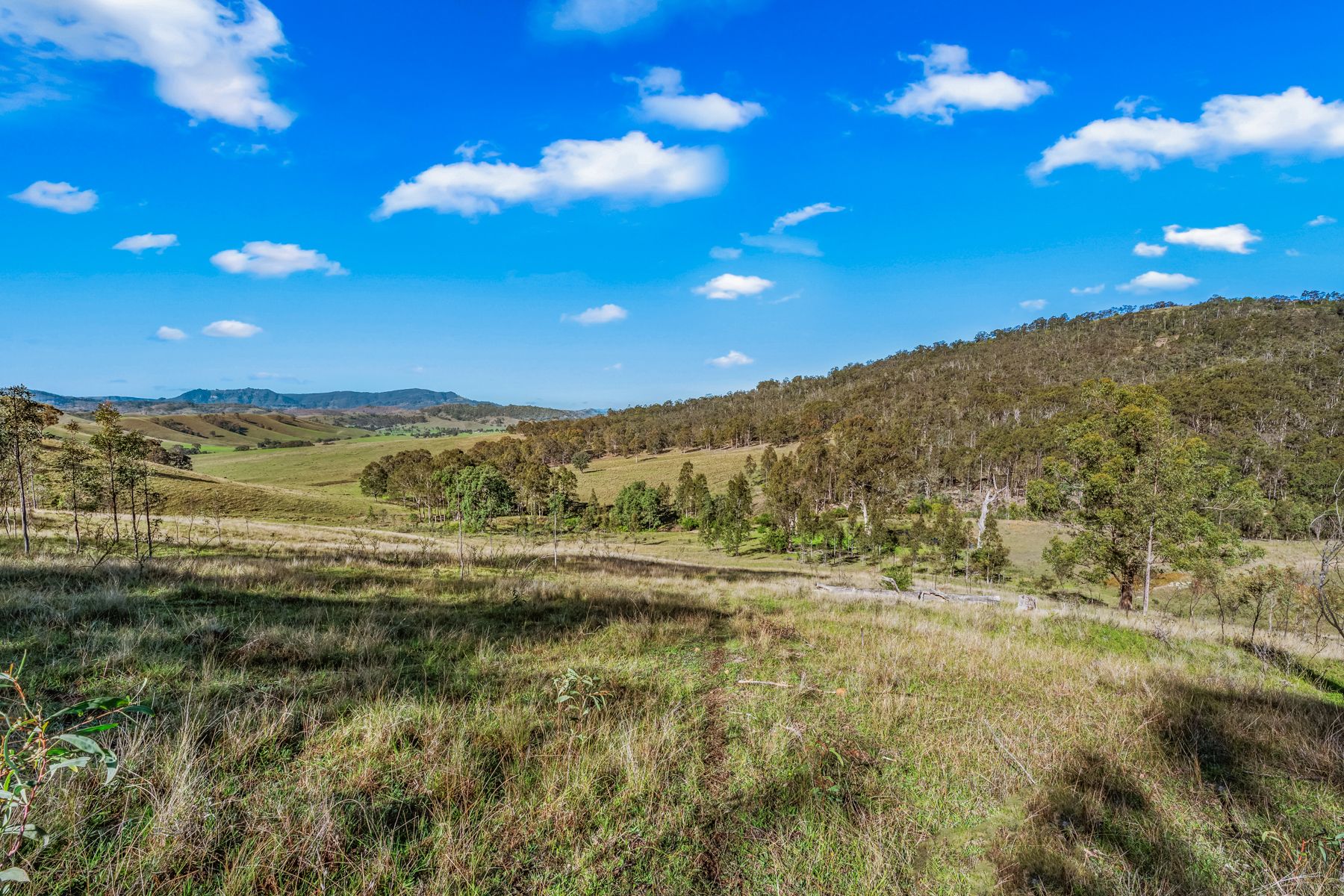 Off Goorangoola Road Greenlands — photo 3 of 19