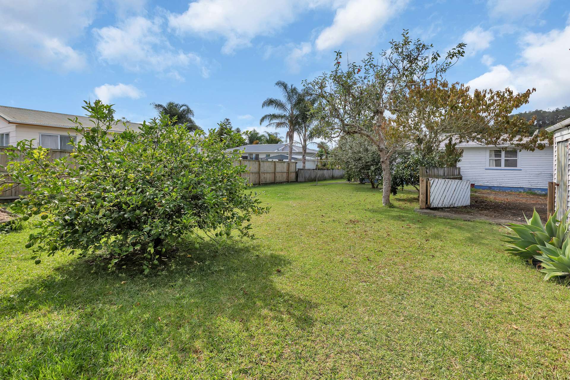 37 Raumanga Valley Road photo 18