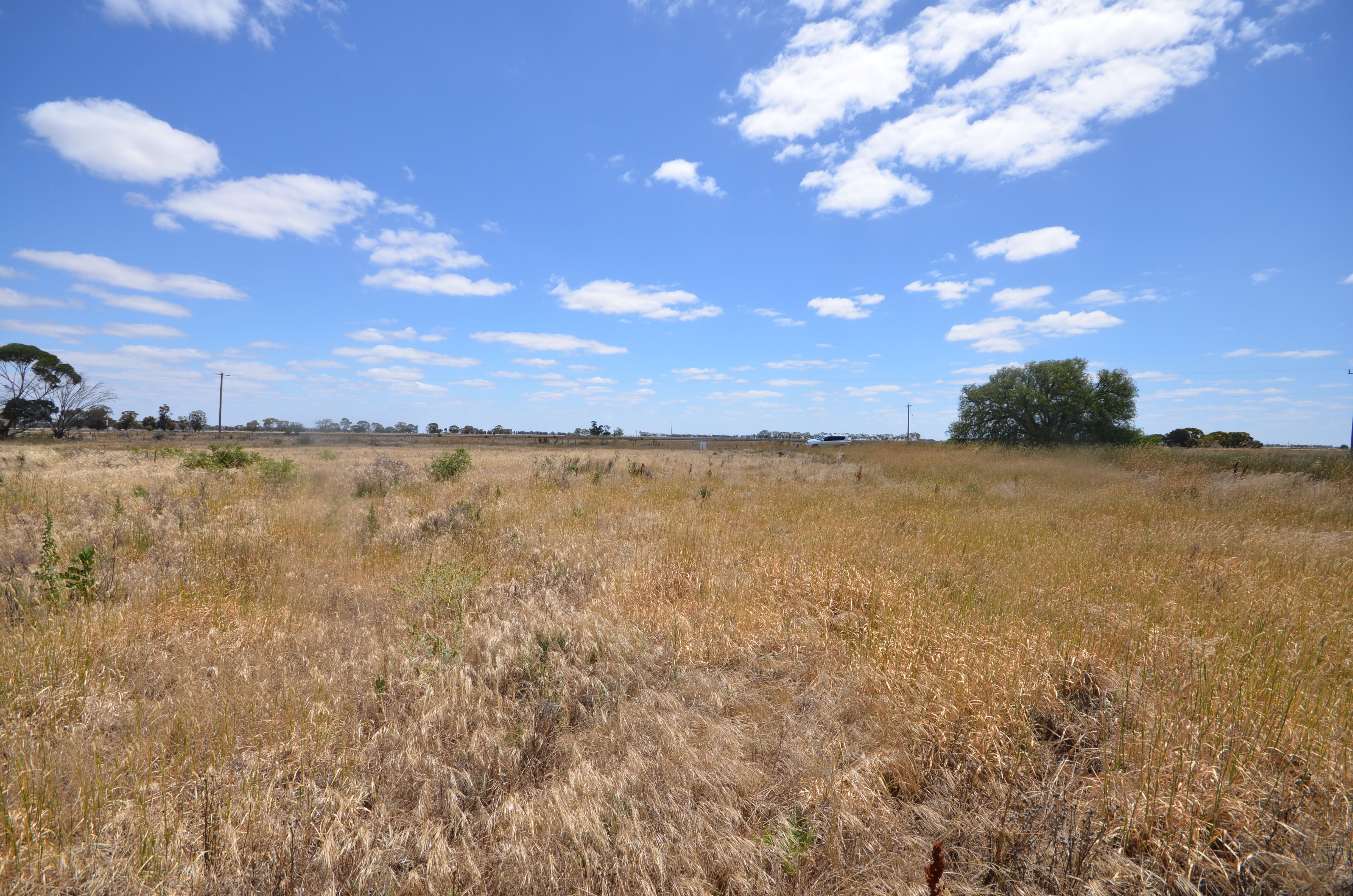 Lots 46 & 47 Kerang - Macorna Road, Macorna, VIC 3579
