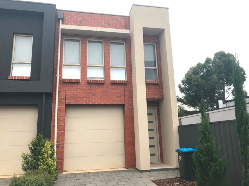 19 Grundy Road, Lightsview SA 5085