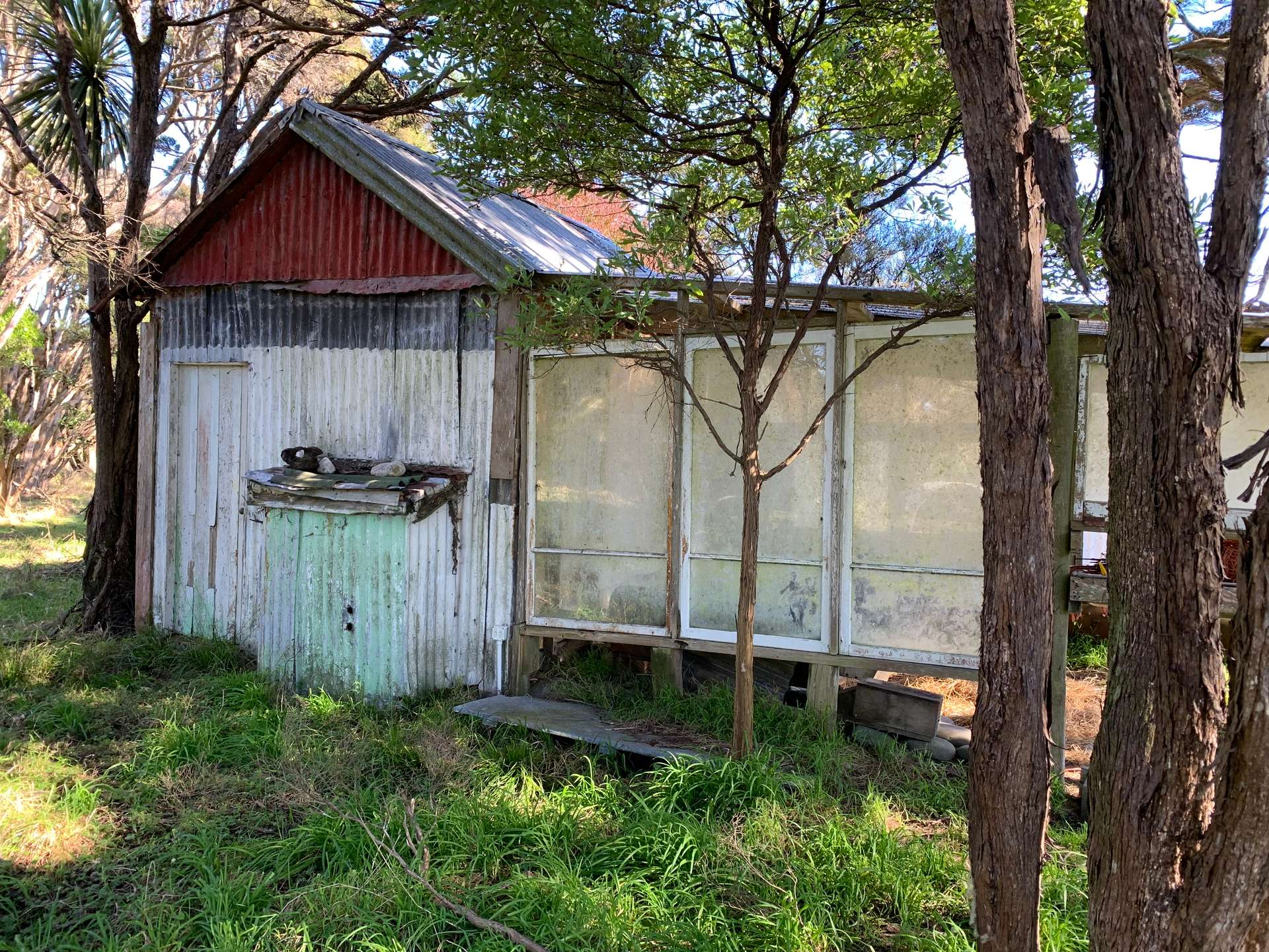 172 Wharariki Road photo 8