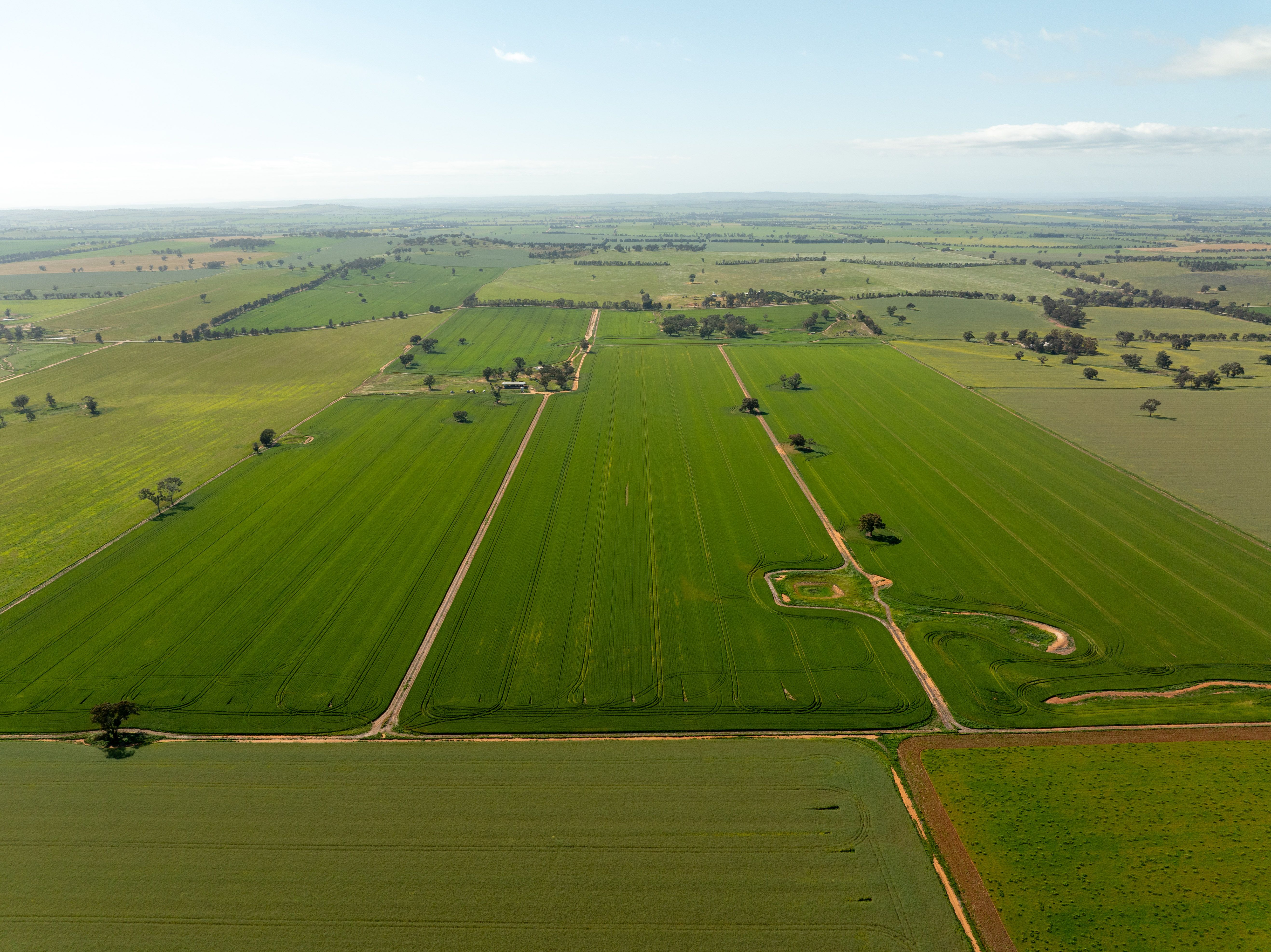 267 Gap Hall-Coolamon Road — photo 13 of 13