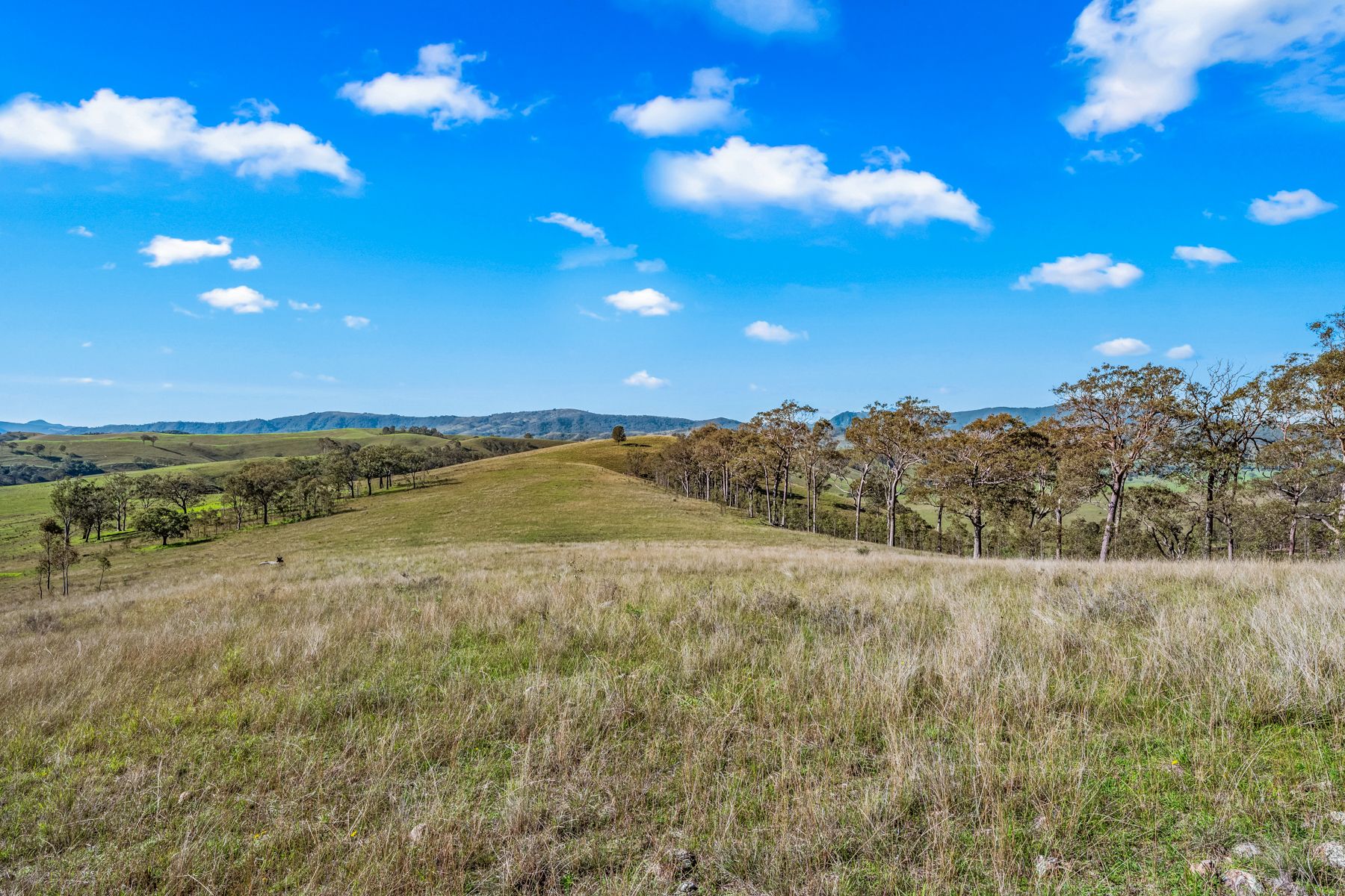 Off Goorangoola Road Greenlands — photo from Ray White Rural Singleton