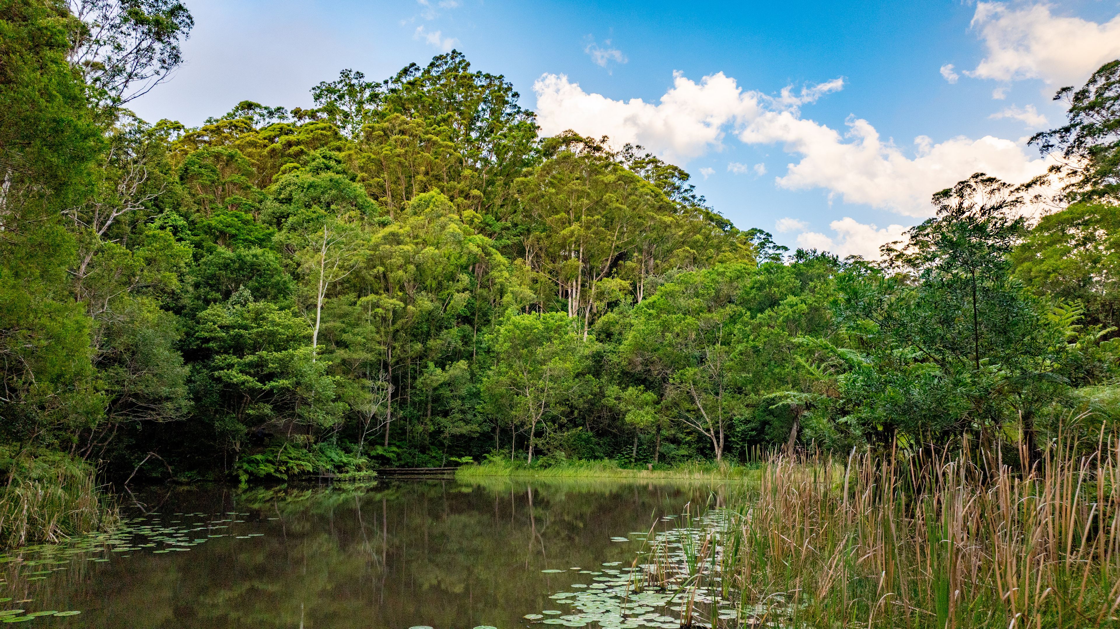 35 Rose Gum Lane, Witta, QLD 4552