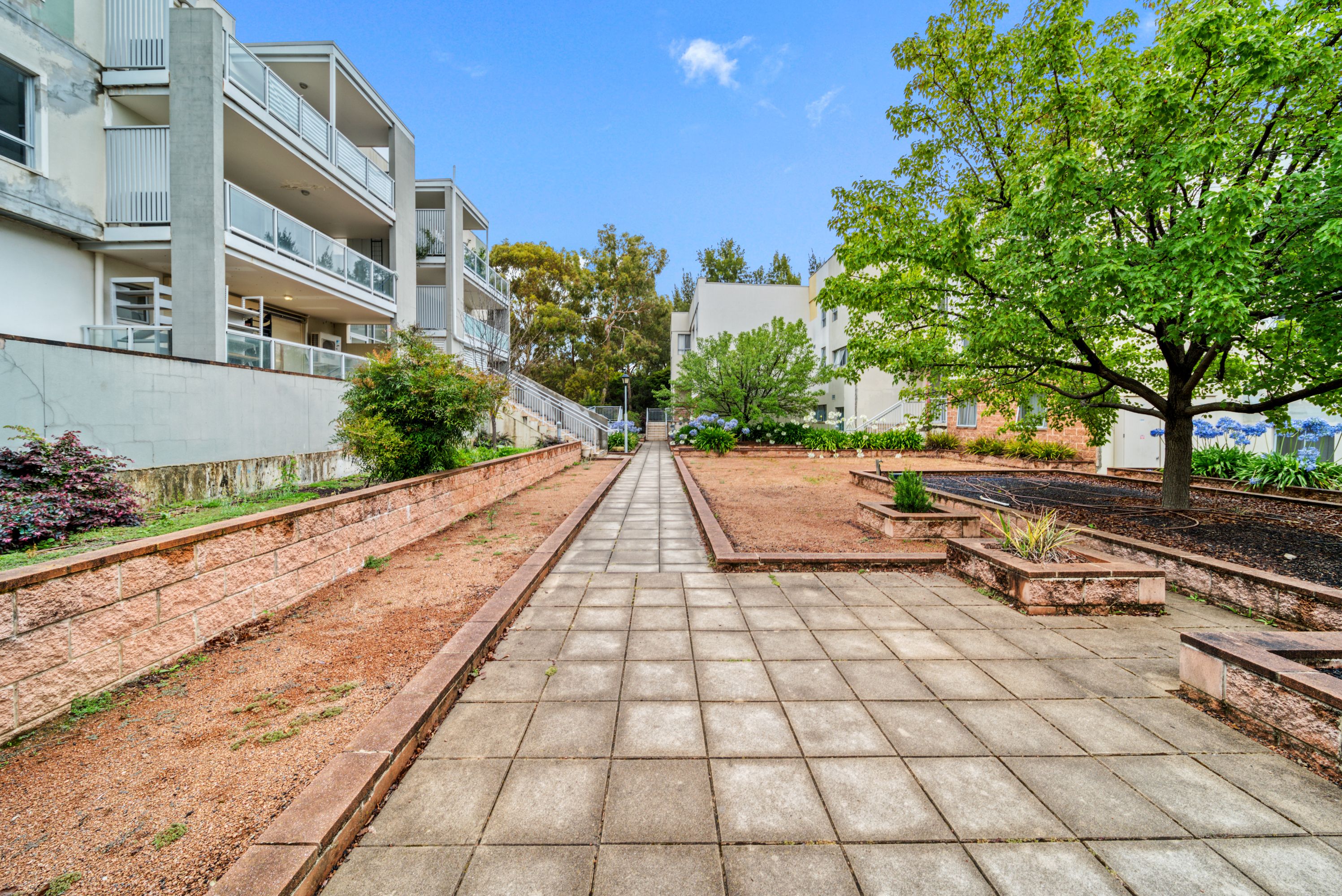 6/2 Eardley Street — photo 11 of 11