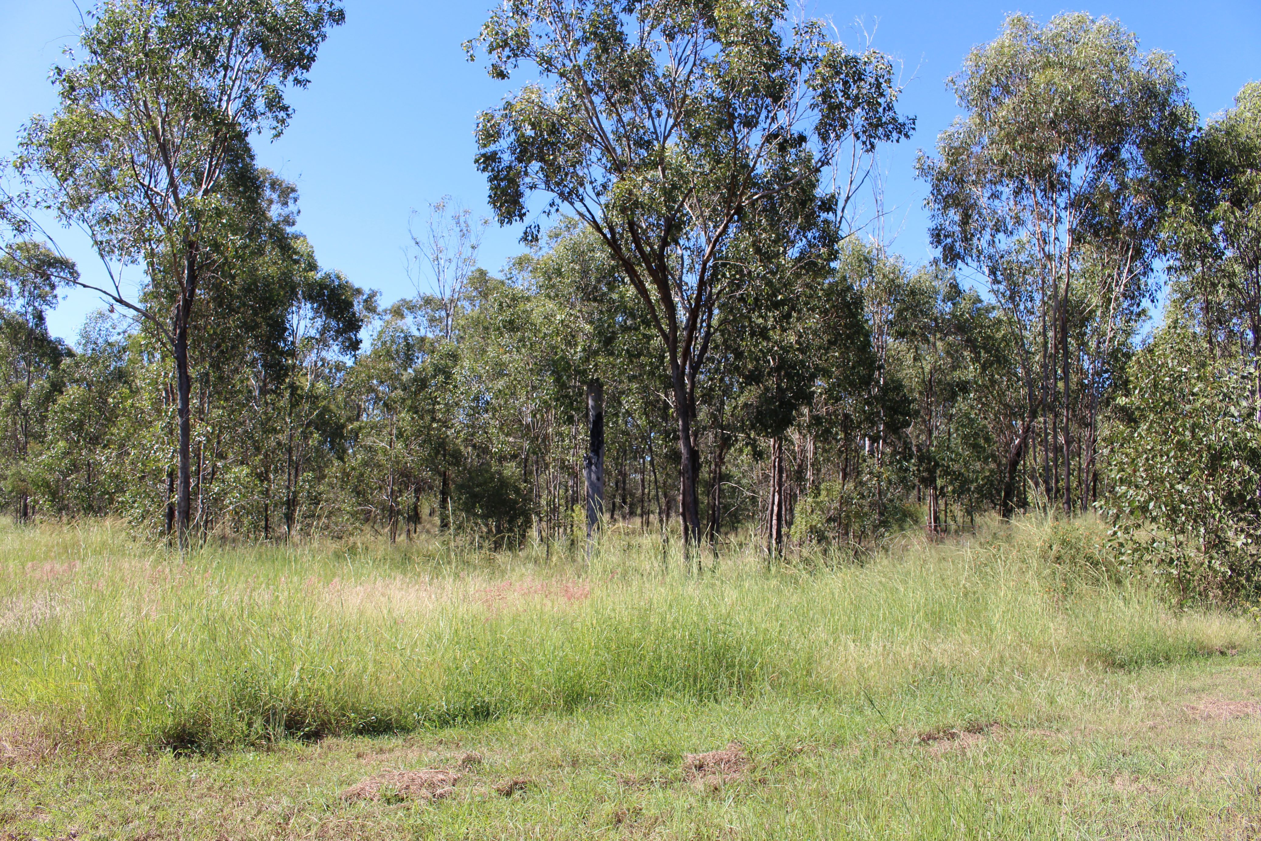 53821 Bruce Highway, Machine Creek, QLD 4695