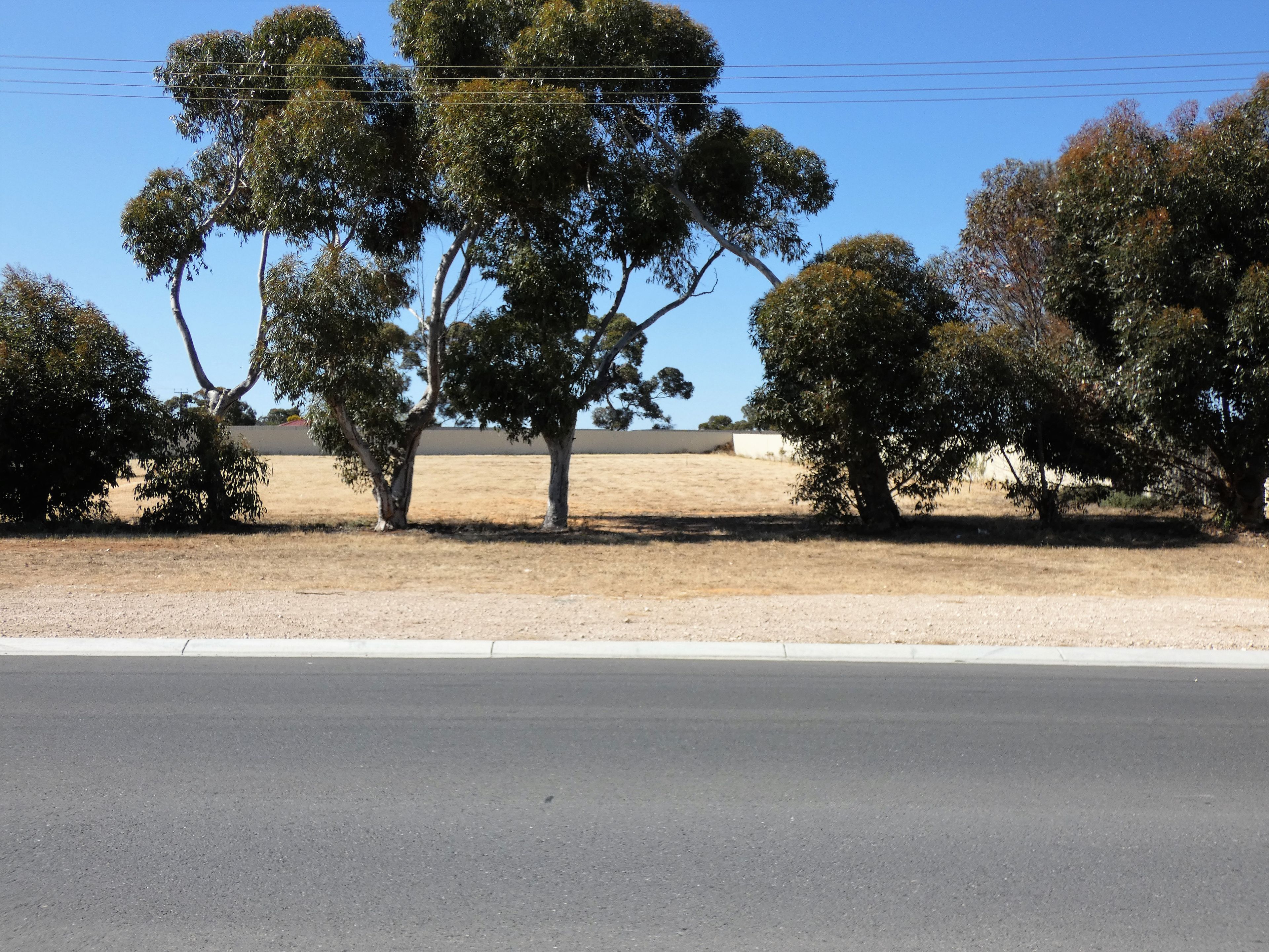 Lot 4 Hindmarsh Road, Murray Bridge, SA 5253