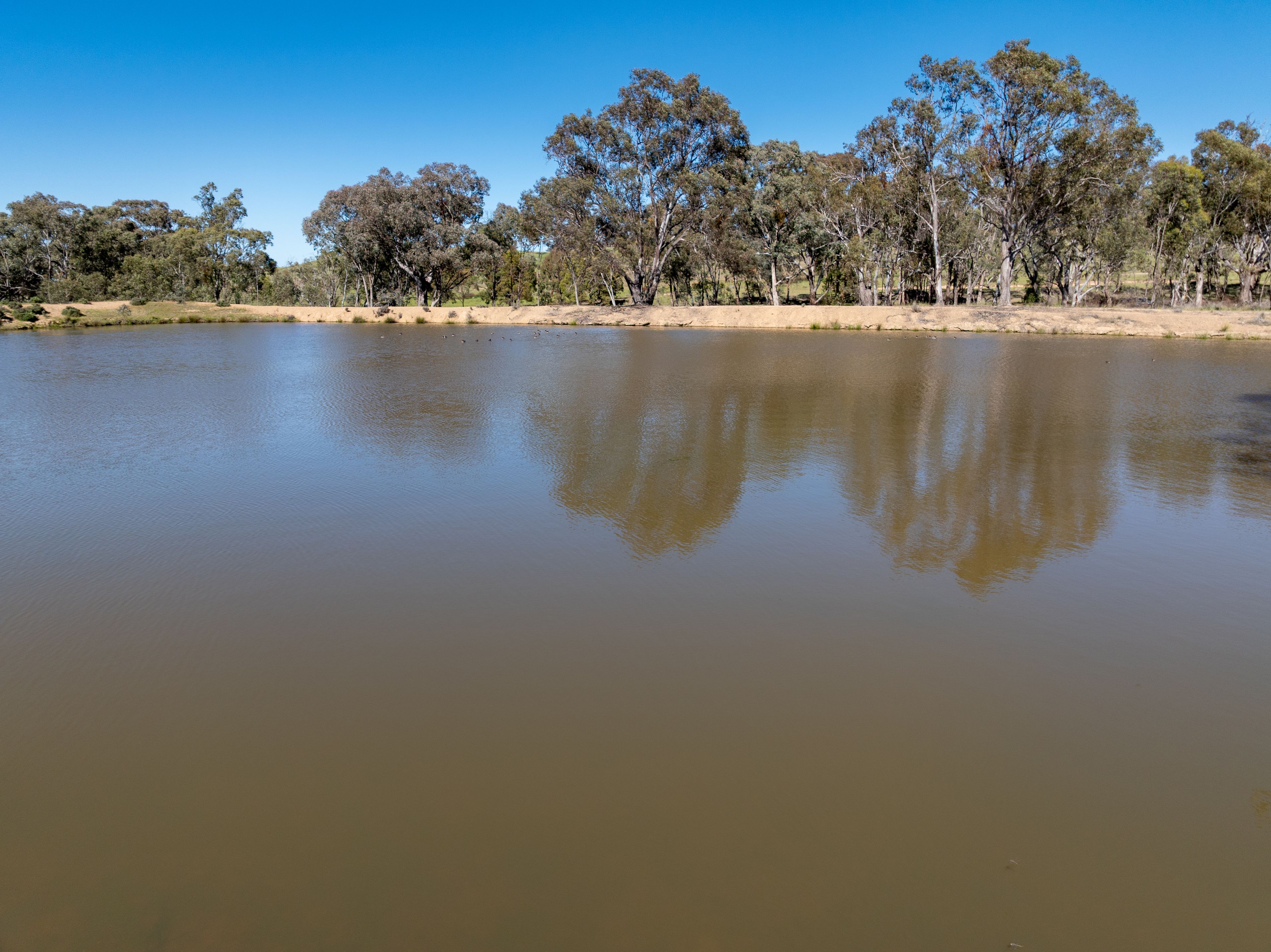'Weemala' 5736 Burrendong Way — photo 5 of 17