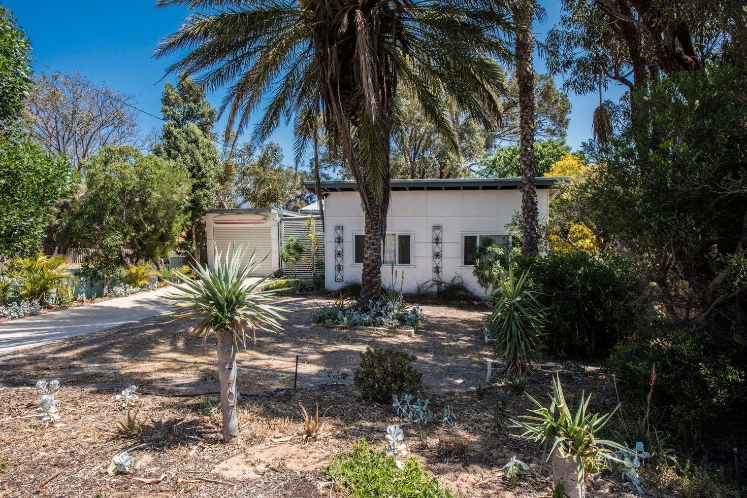 3 Malcolm Street, Bluff Point WA 6530