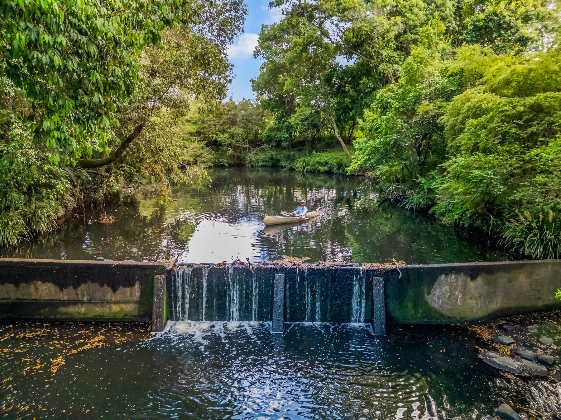 3201 Wallanbah Road, Dyers Crossing, NSW 2429