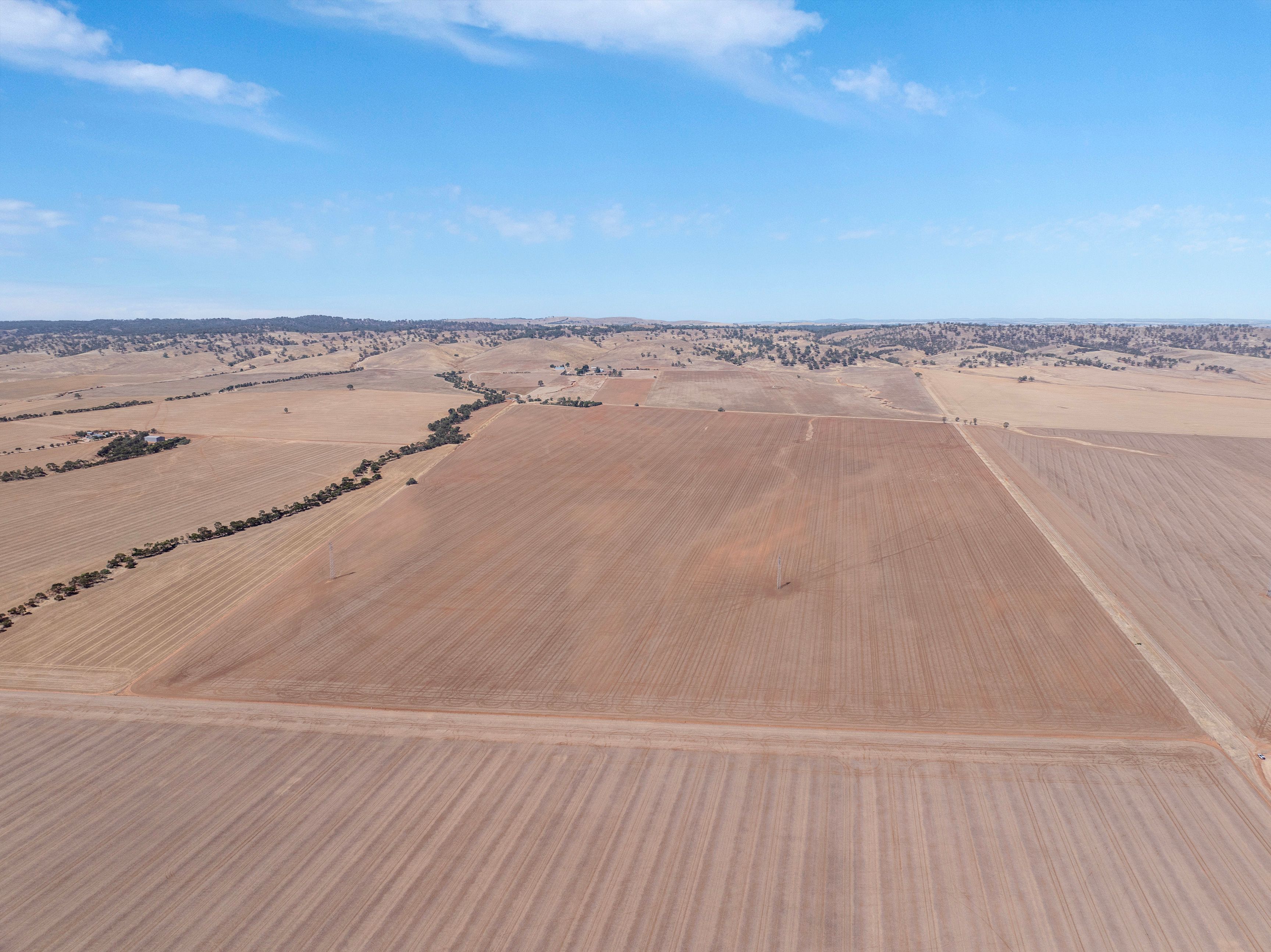 Ray White Rural South Australia