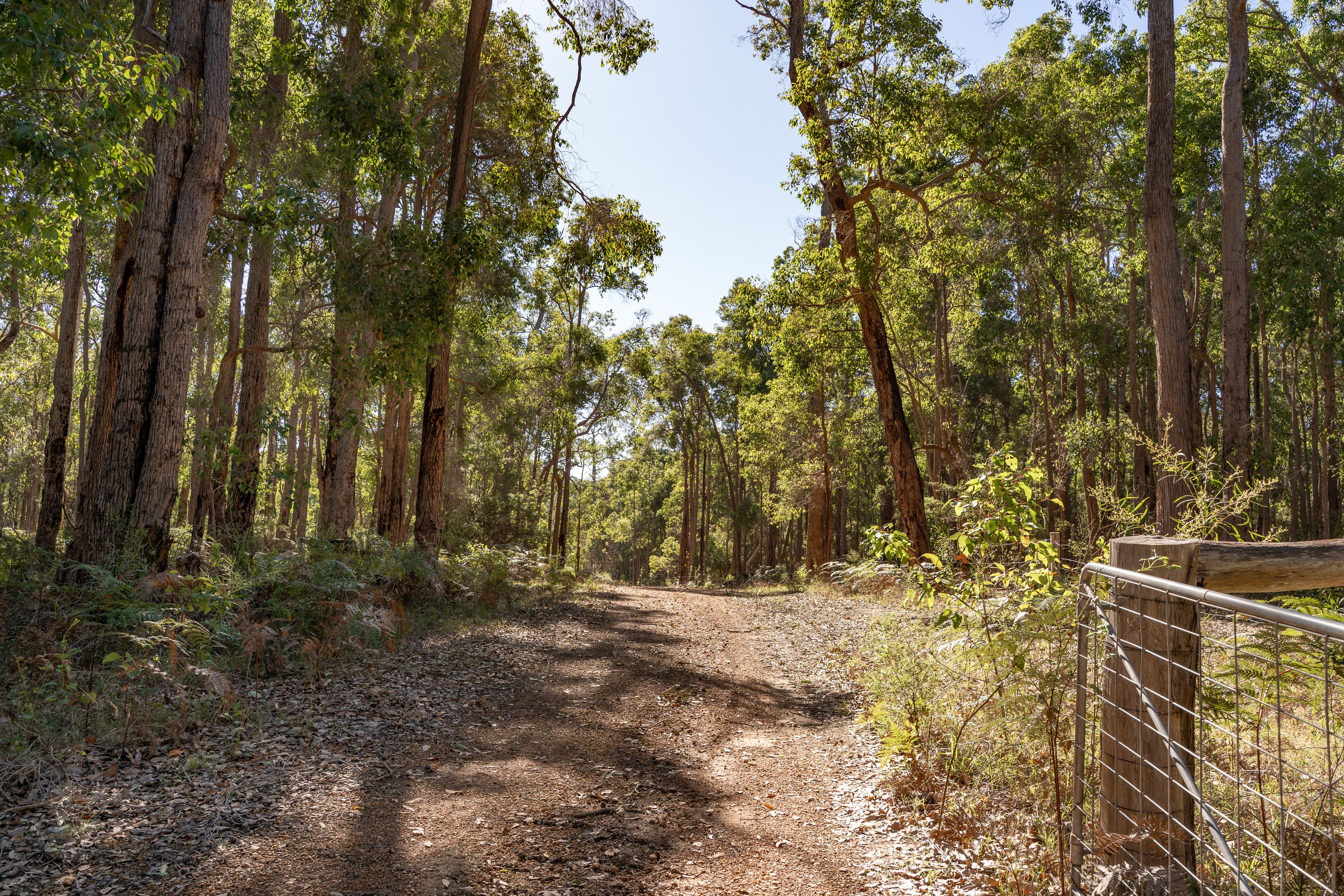 Lot 109 Wetherall Road, Quinninup, WA 6258