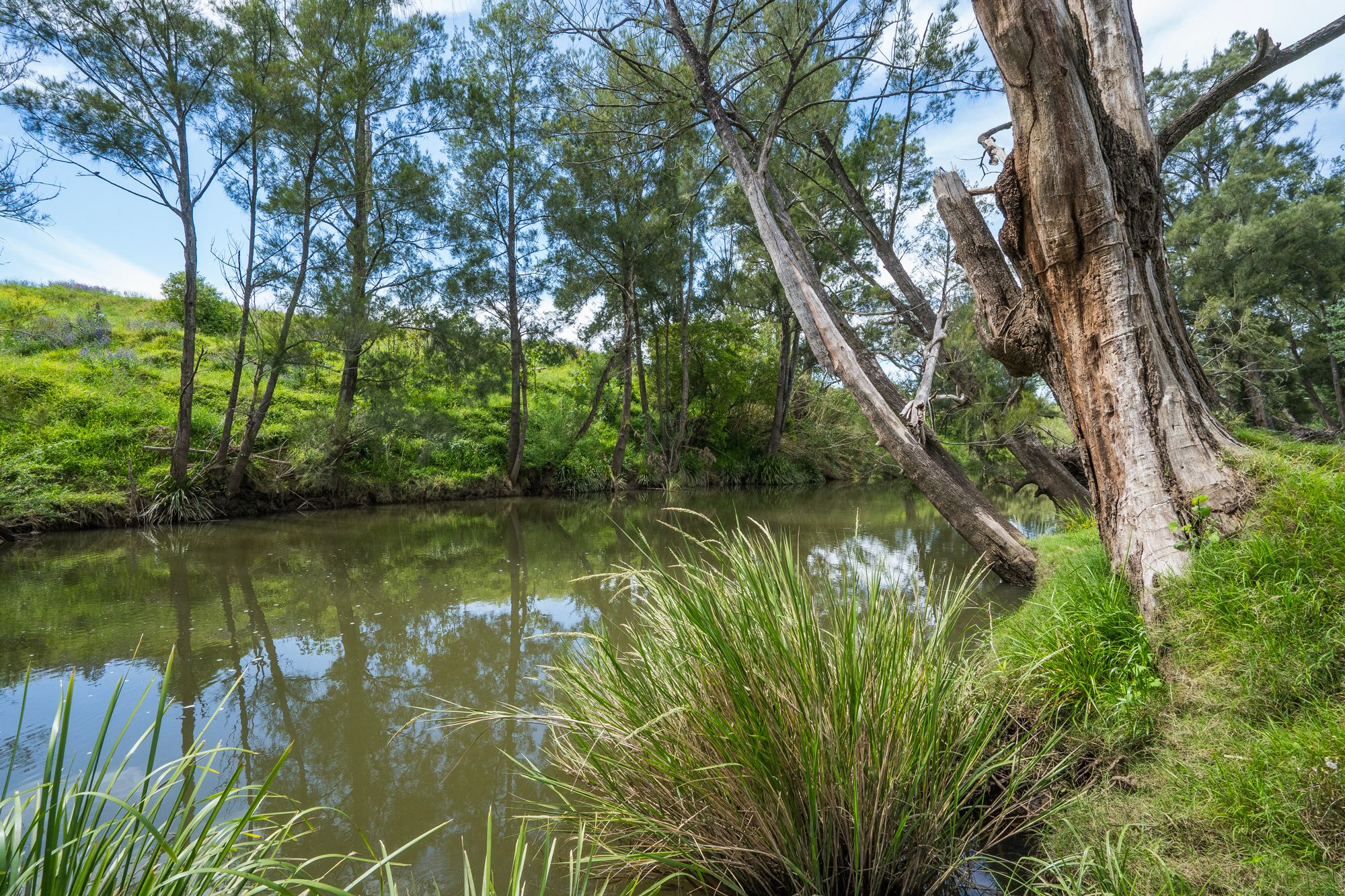 673 Summer Hill Road, Vacy, NSW 2421