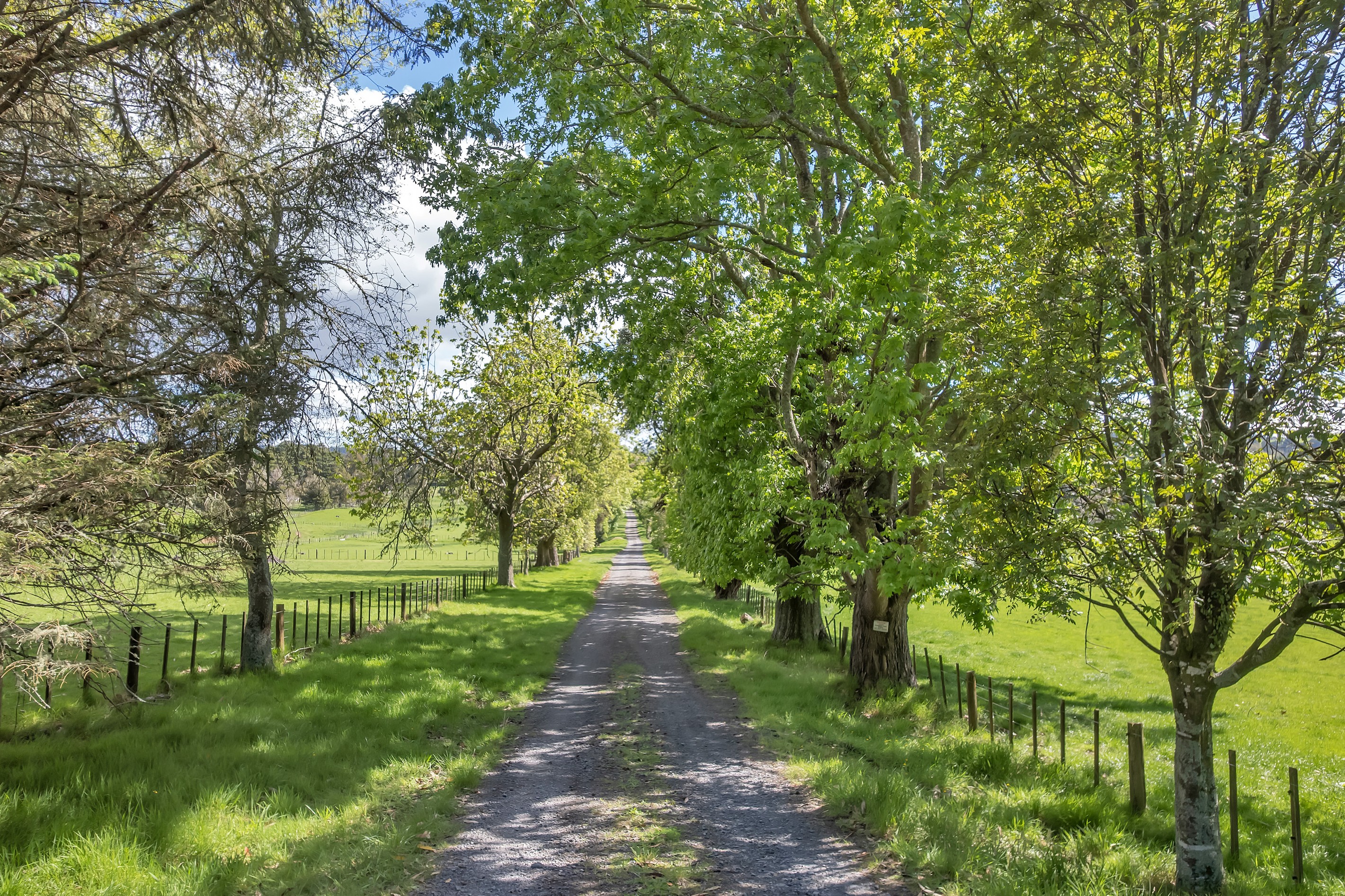 90 Mckinley Road, Kokopu, Whangarei District