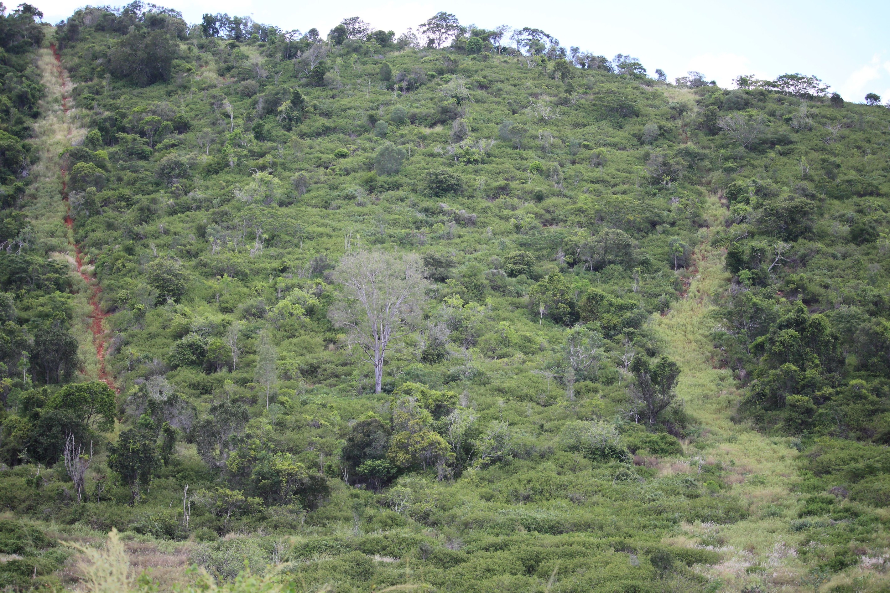 Lot 6 Aplin Road, Bracewell, QLD 4695