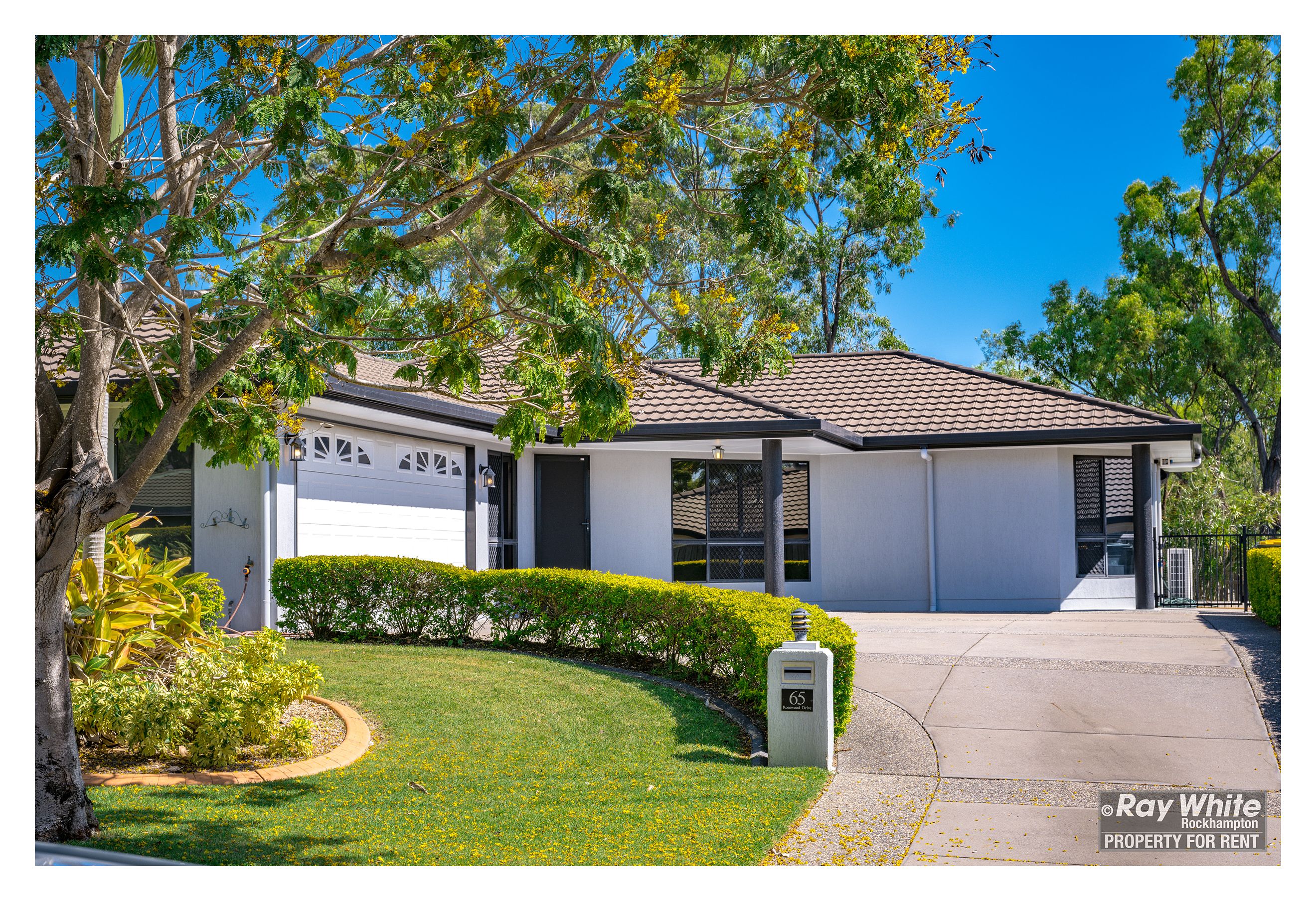 65 Rosewood Drive, Norman Gardens, QLD 4701