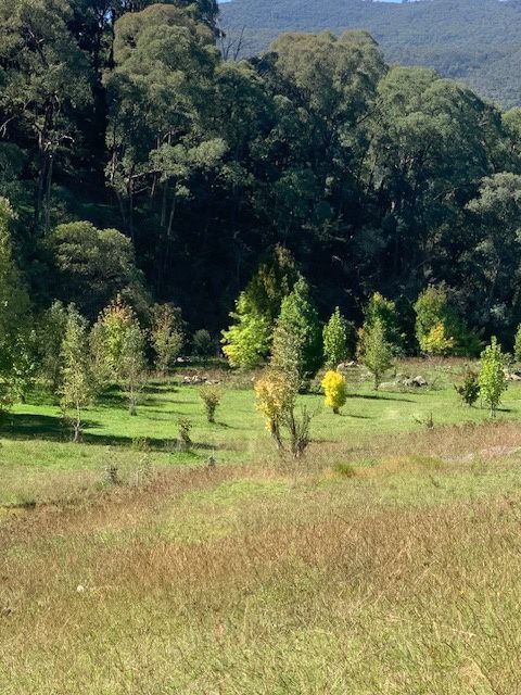 Part 1420 Goobarragandra Road — photo 11 of 11