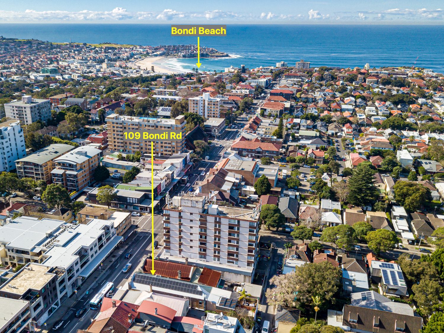 109 Bondi Road, Bondi NSW 2026