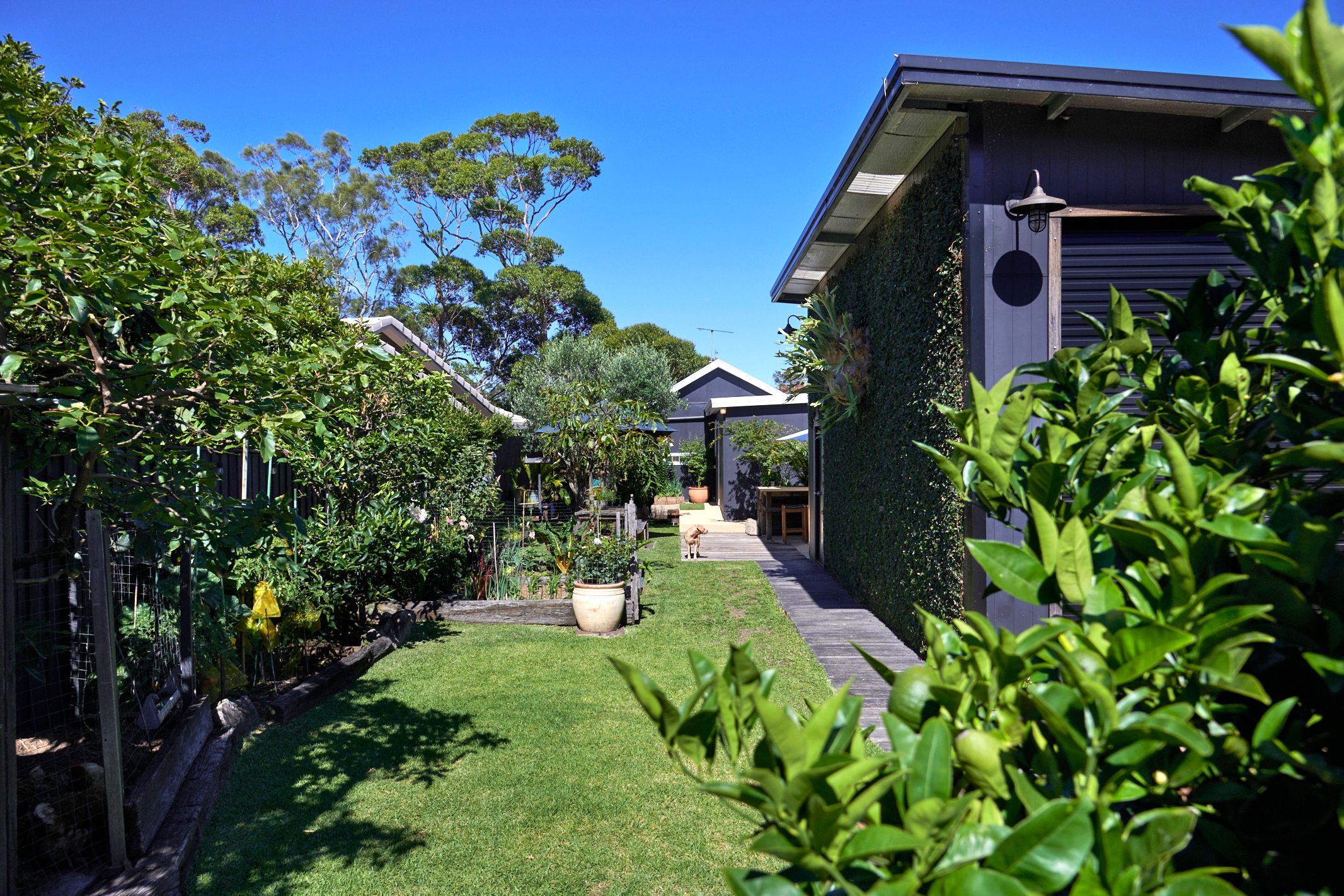 77 Walton Way, Currarong, NSW