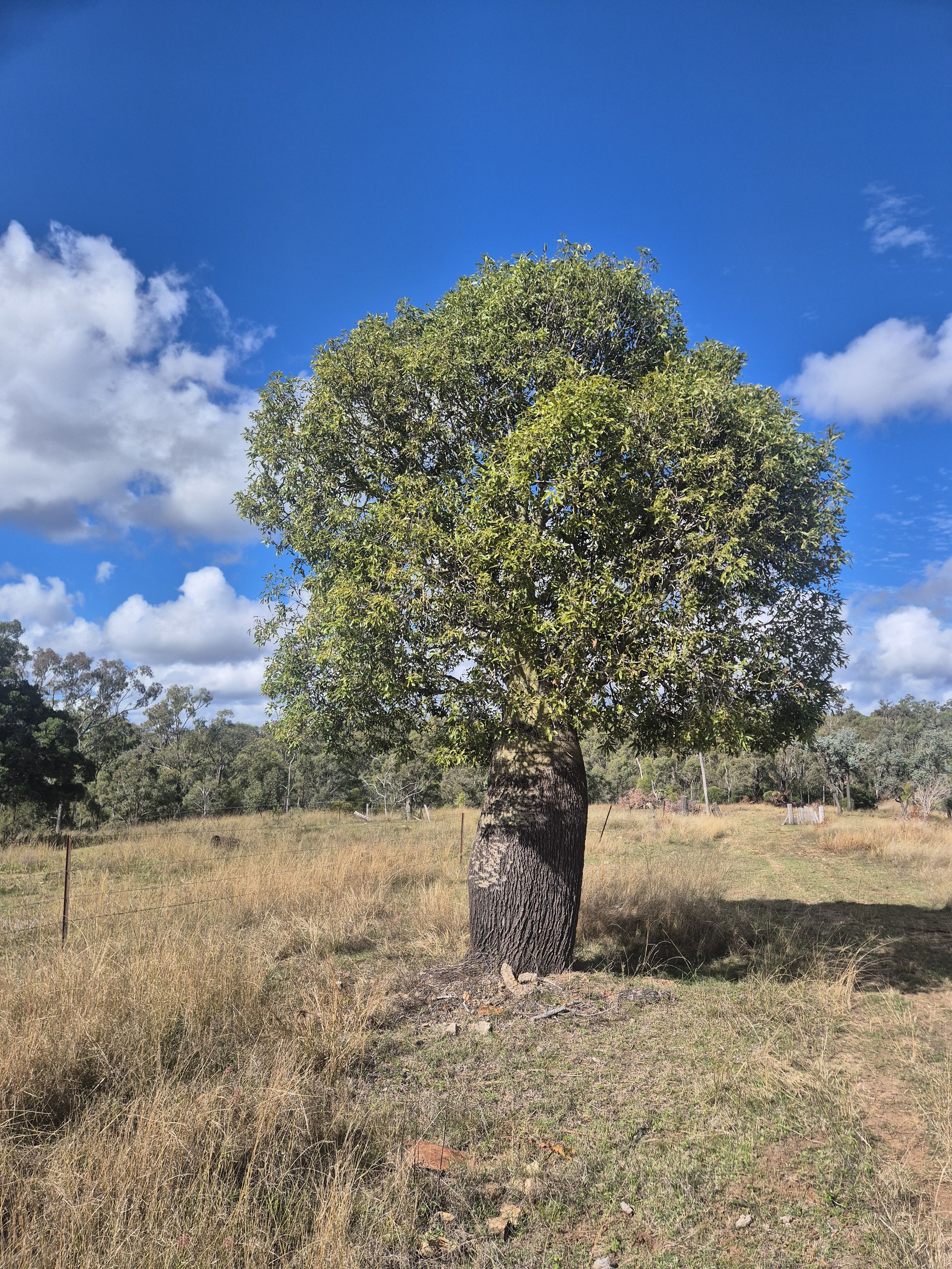 Lot 1 The Weir Road — photo 7 of 16