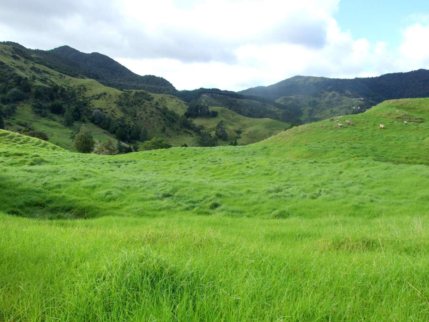 185 Takahue Saddle Road photo 3