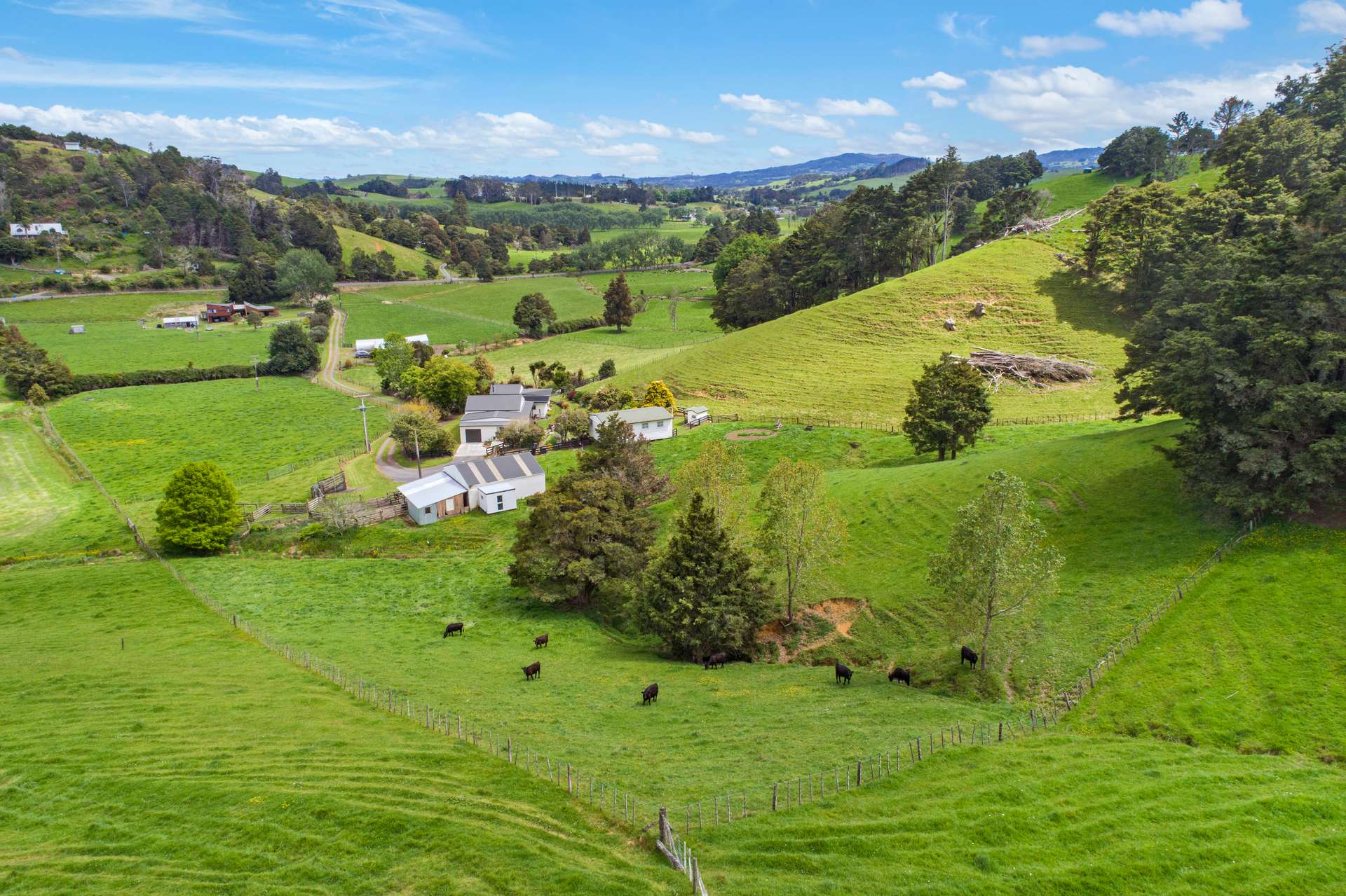 1366 Hukerenui Road photo 35