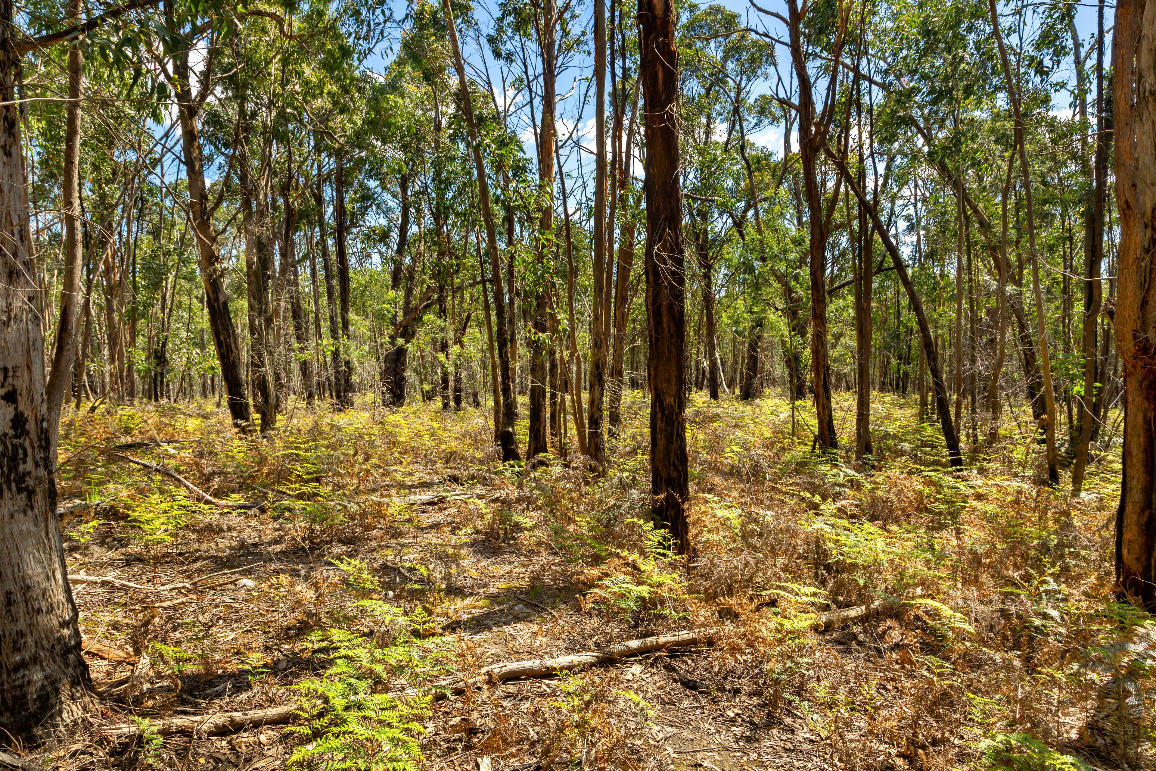 Lot 8 Pryors Road — photo 10 of 10