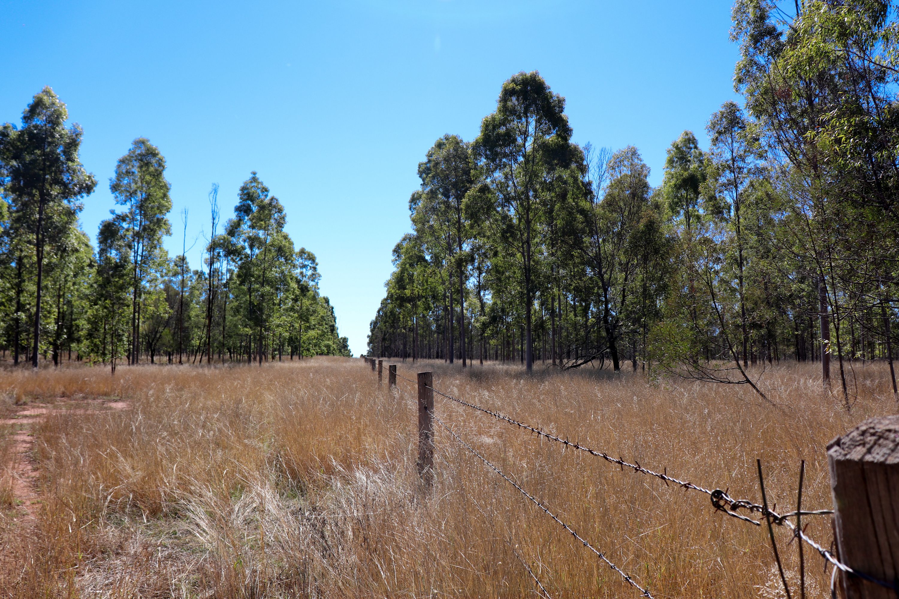 Lot 2 Reedy Creek Road, Benair, Kingaroy, QLD 4610