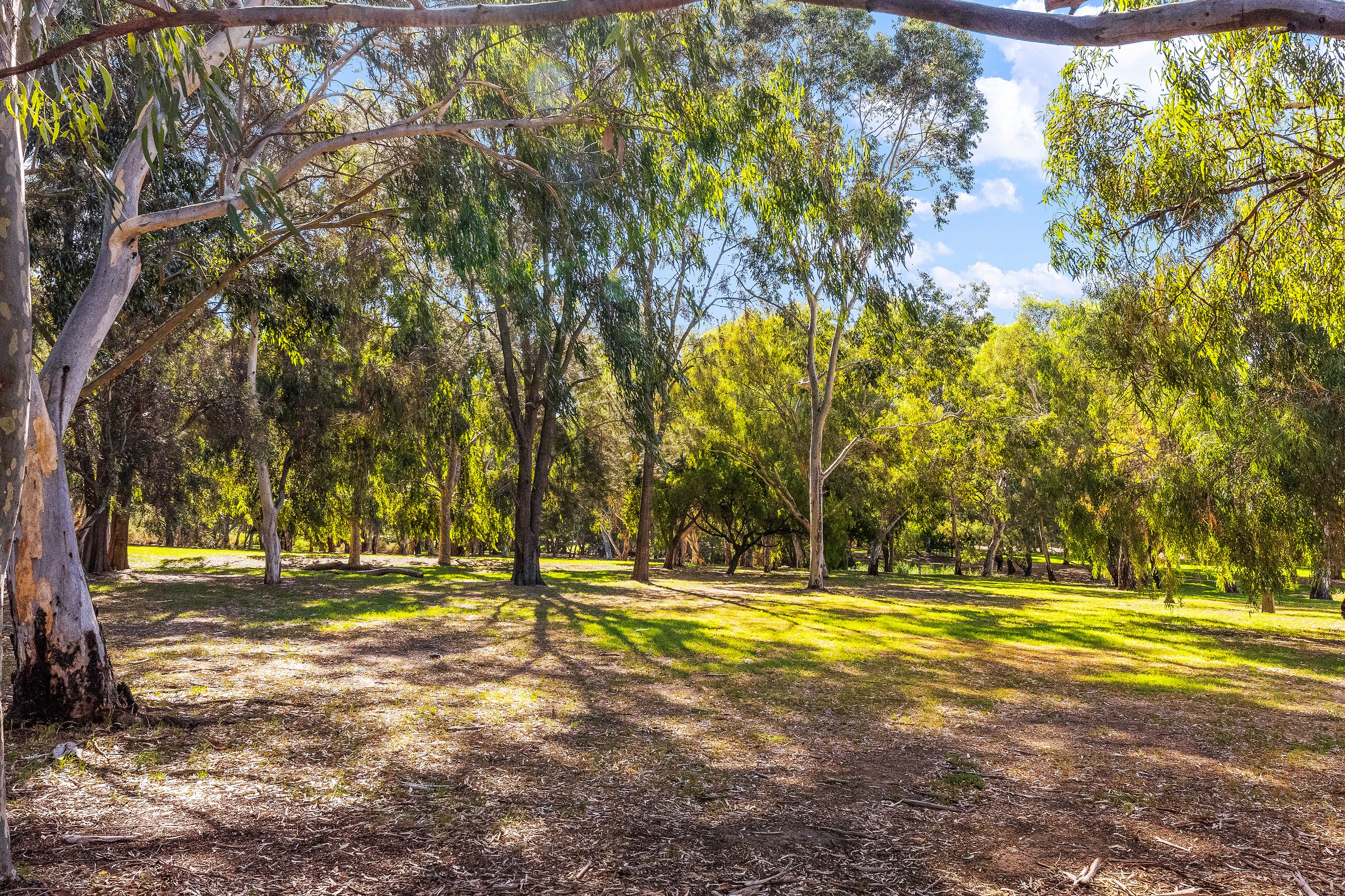 68 Riverview Drive, Paradise, SA 5075