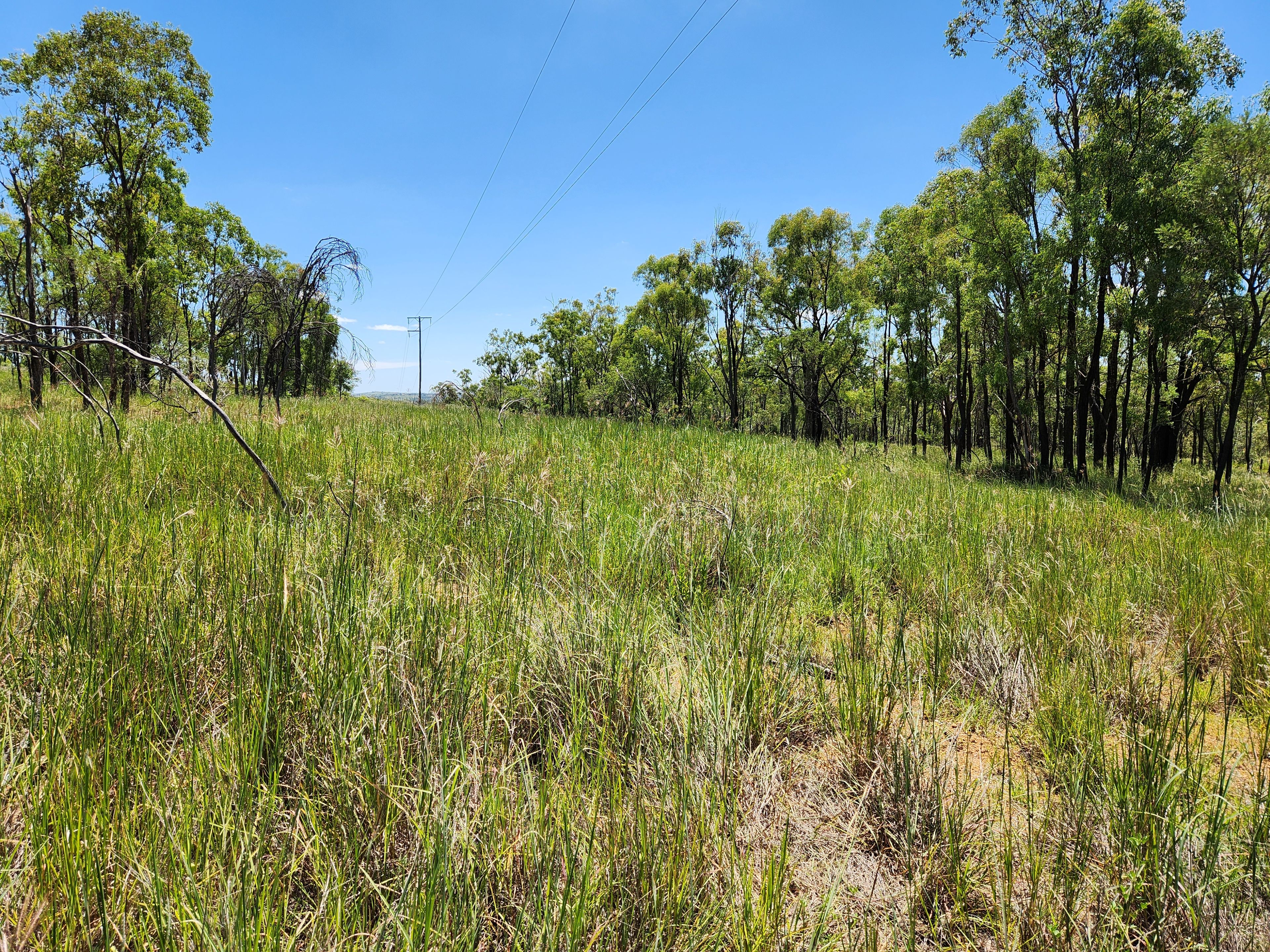 23 Hardings Lane, Glenrae, Mundubbera, QLD 4626 Rural Property for