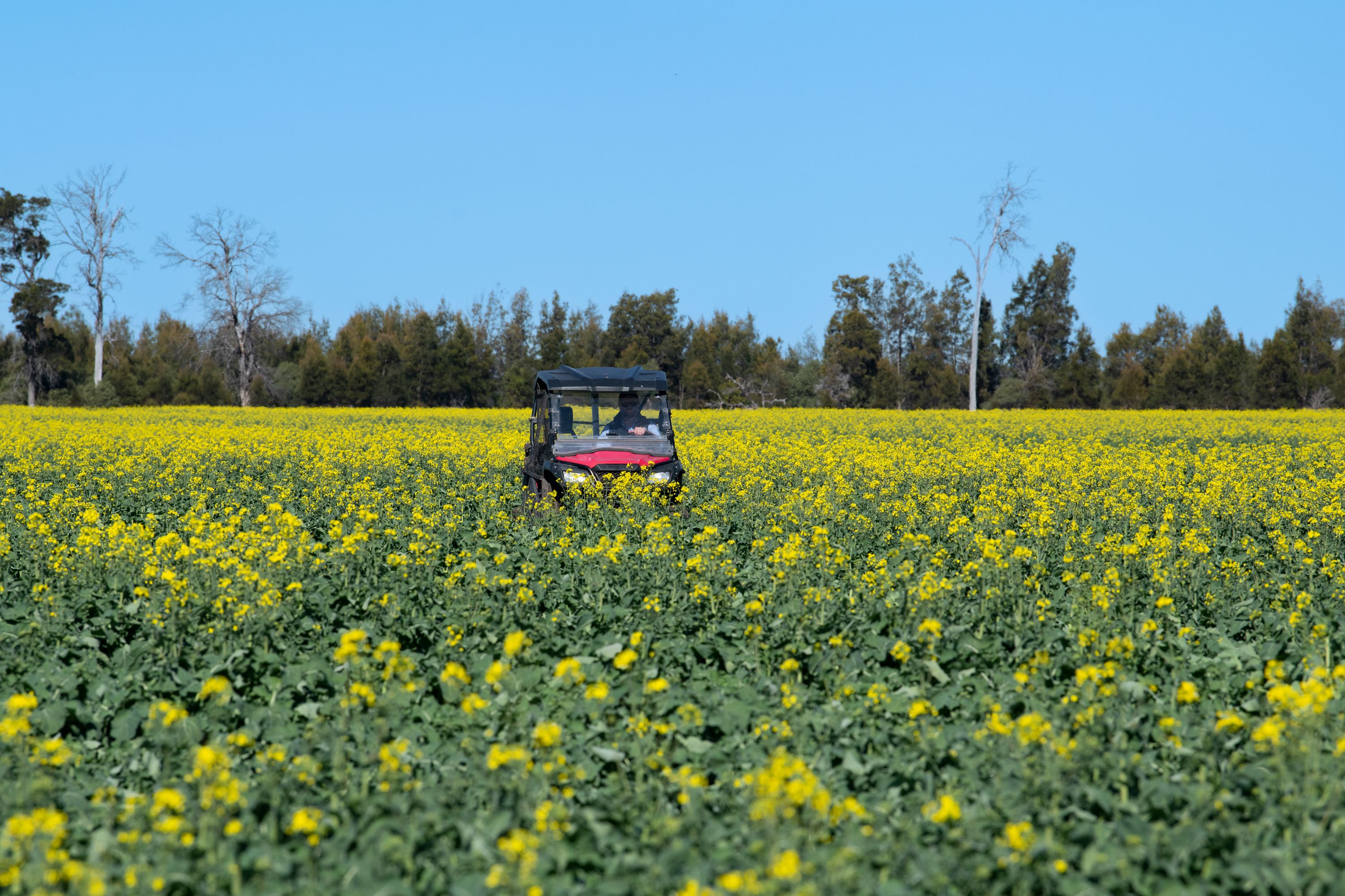 28994 Newell Highway, Tulloona, NSW 2400 Rural Cropping Property for