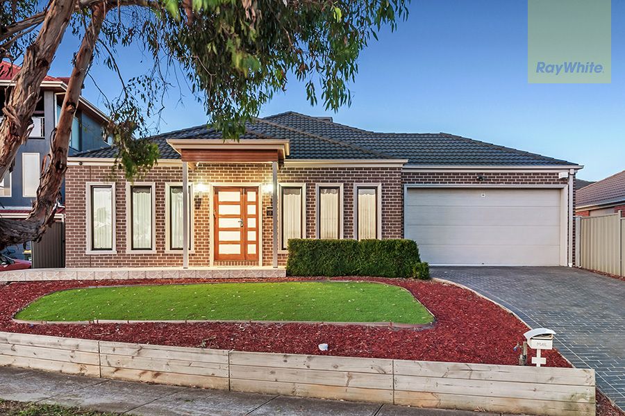 13 Elsternwick Way, Craigieburn, VIC 3064