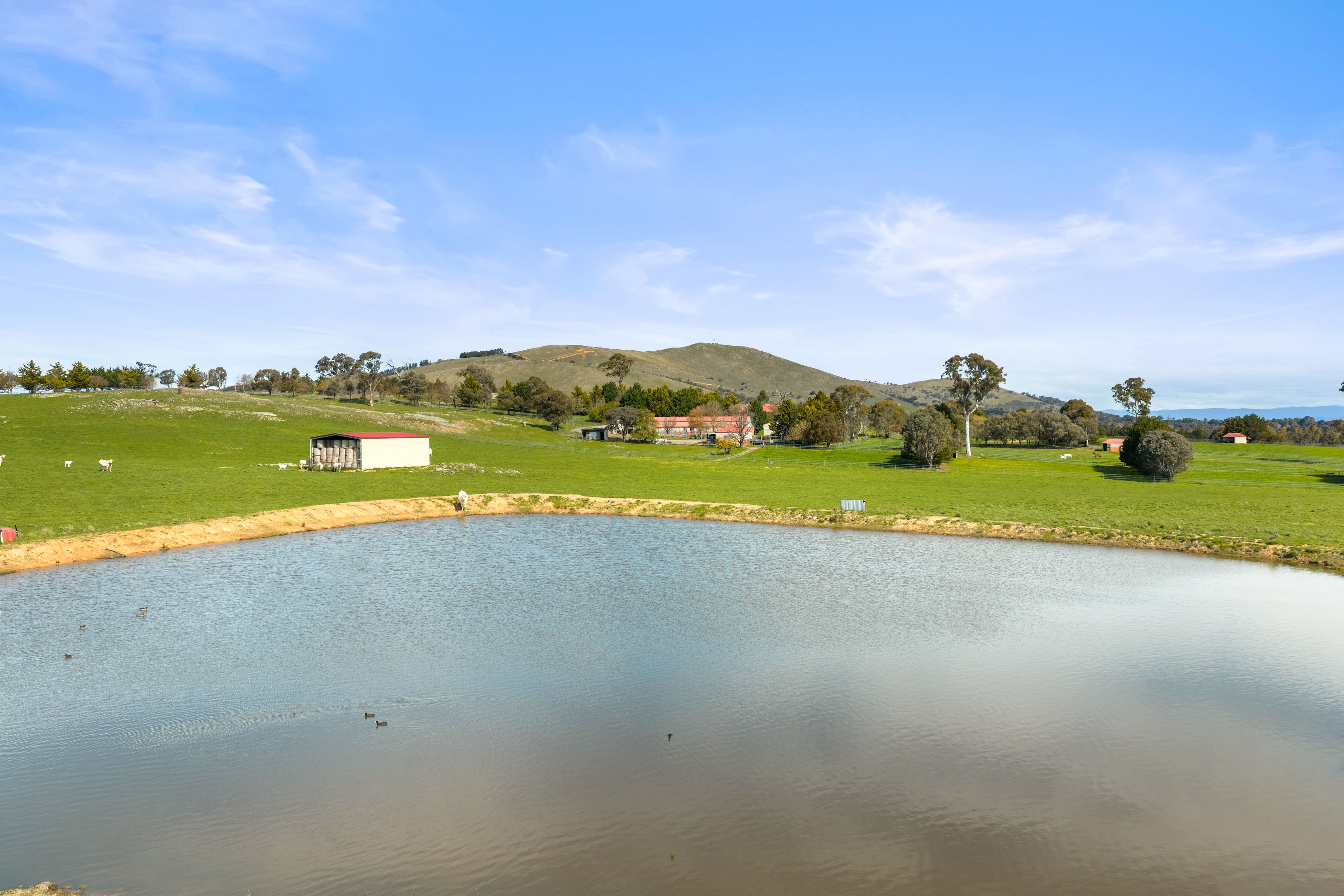 713 Nanima Road, Springrange, NSW 2618 - Sold Acreage/Semi-Rural - Ray ...