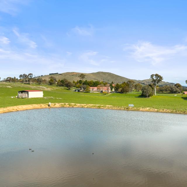 Springrange 713 Nanima Road, Springrange, NSW 2618 - Sold Acreage/Semi-Rural - Ray ...