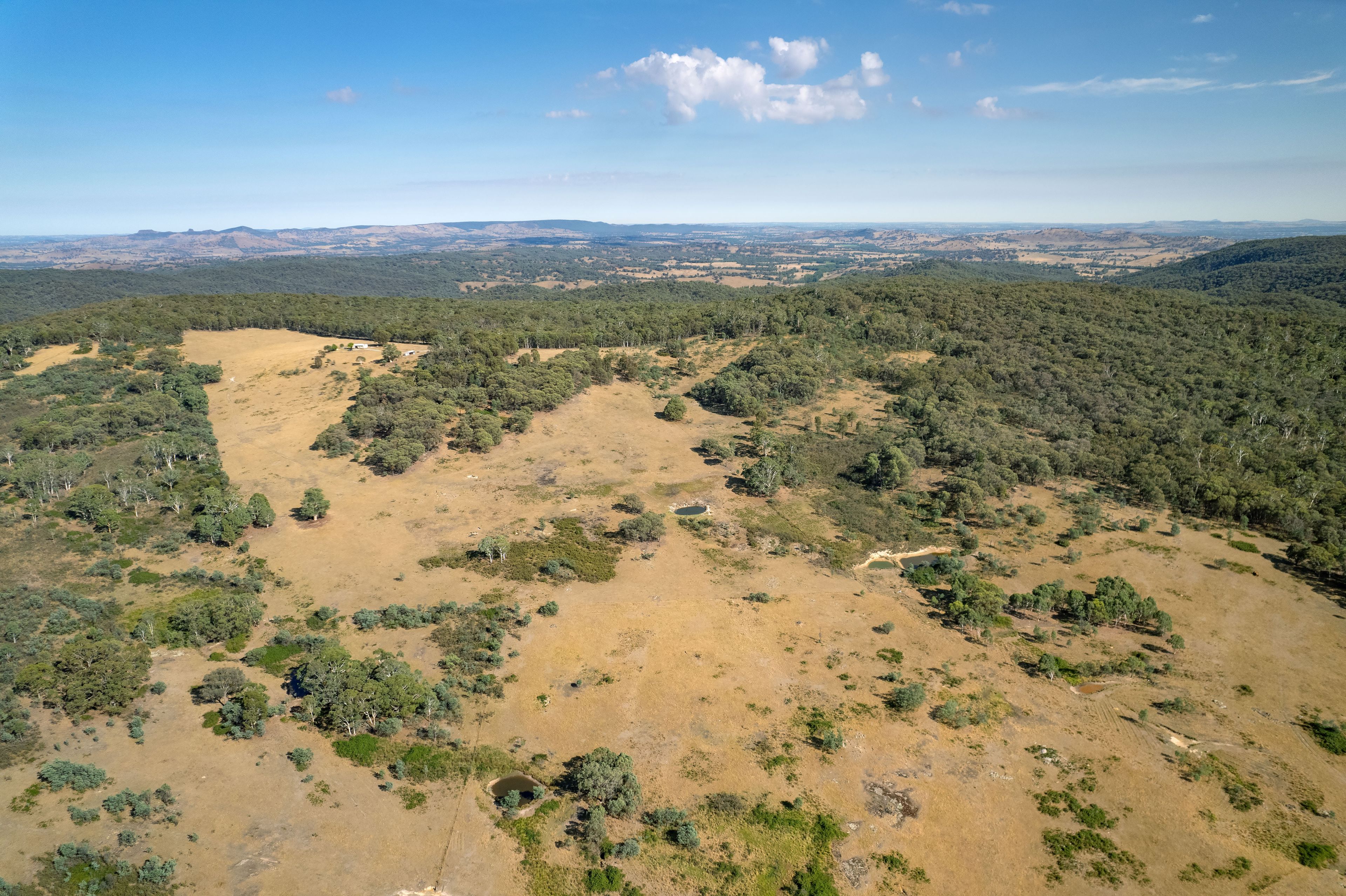 137 Hanels Road, Talmalmo, NSW 2640