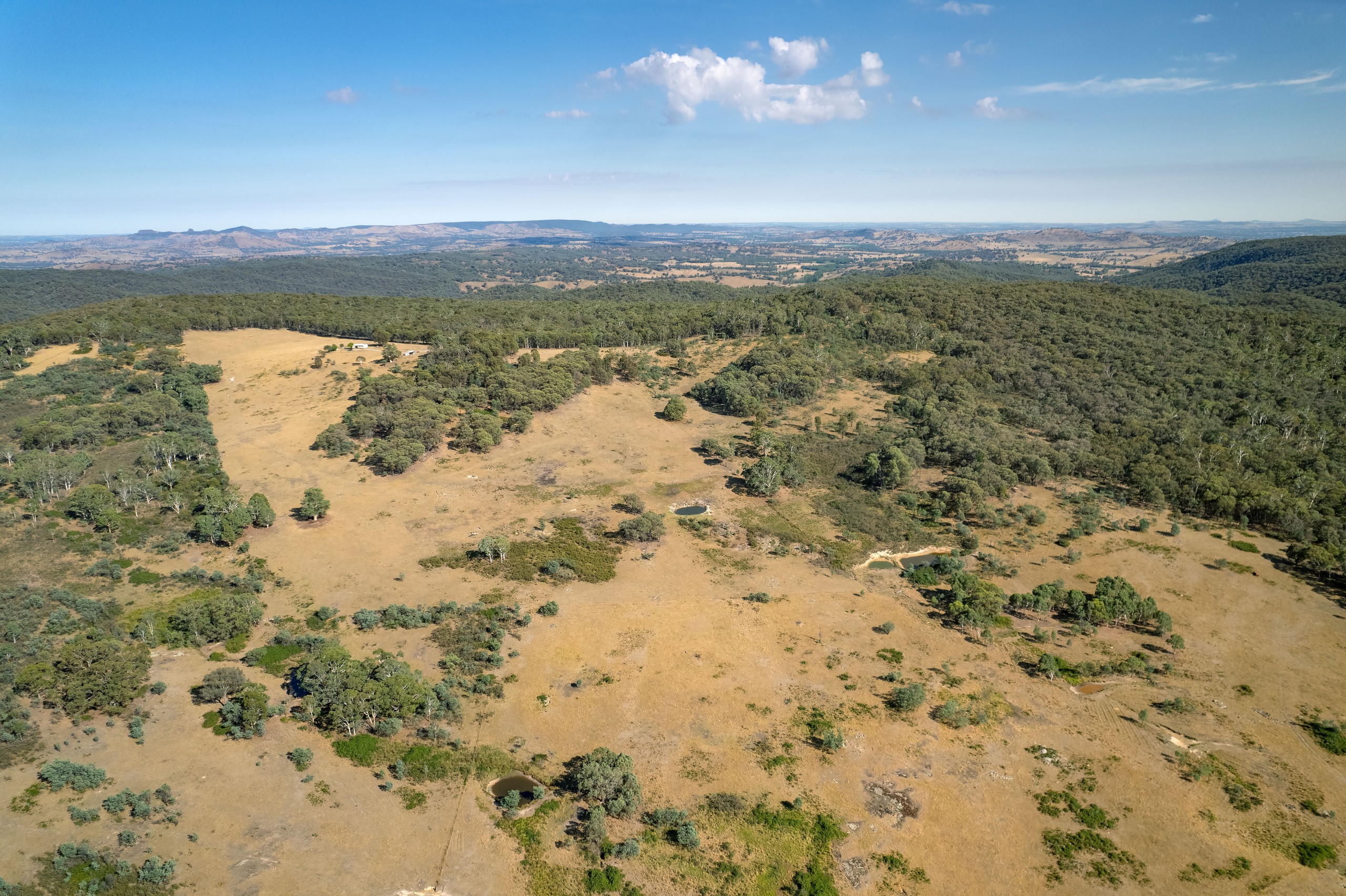 137 Hanels Road, Talmalmo, NSW 2640