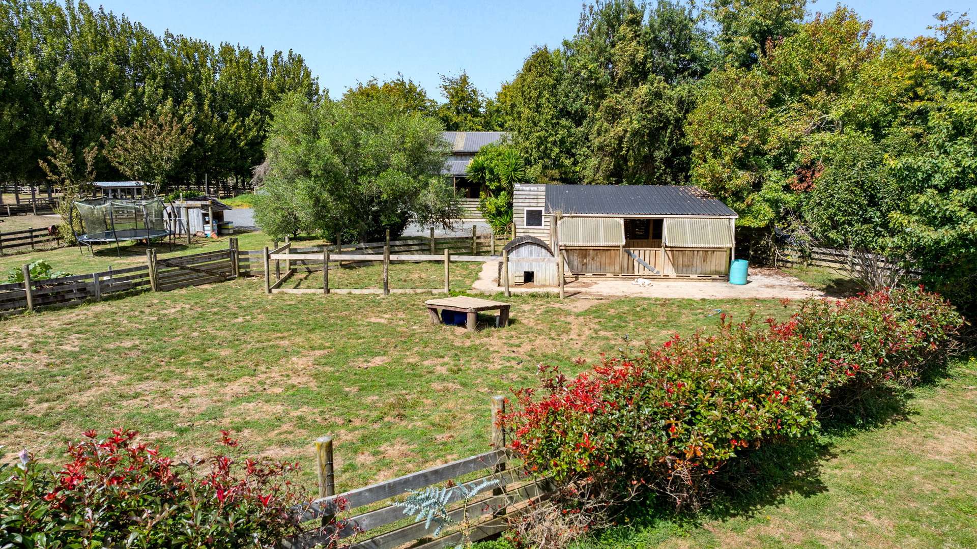 36F Farquharson Road photo 4